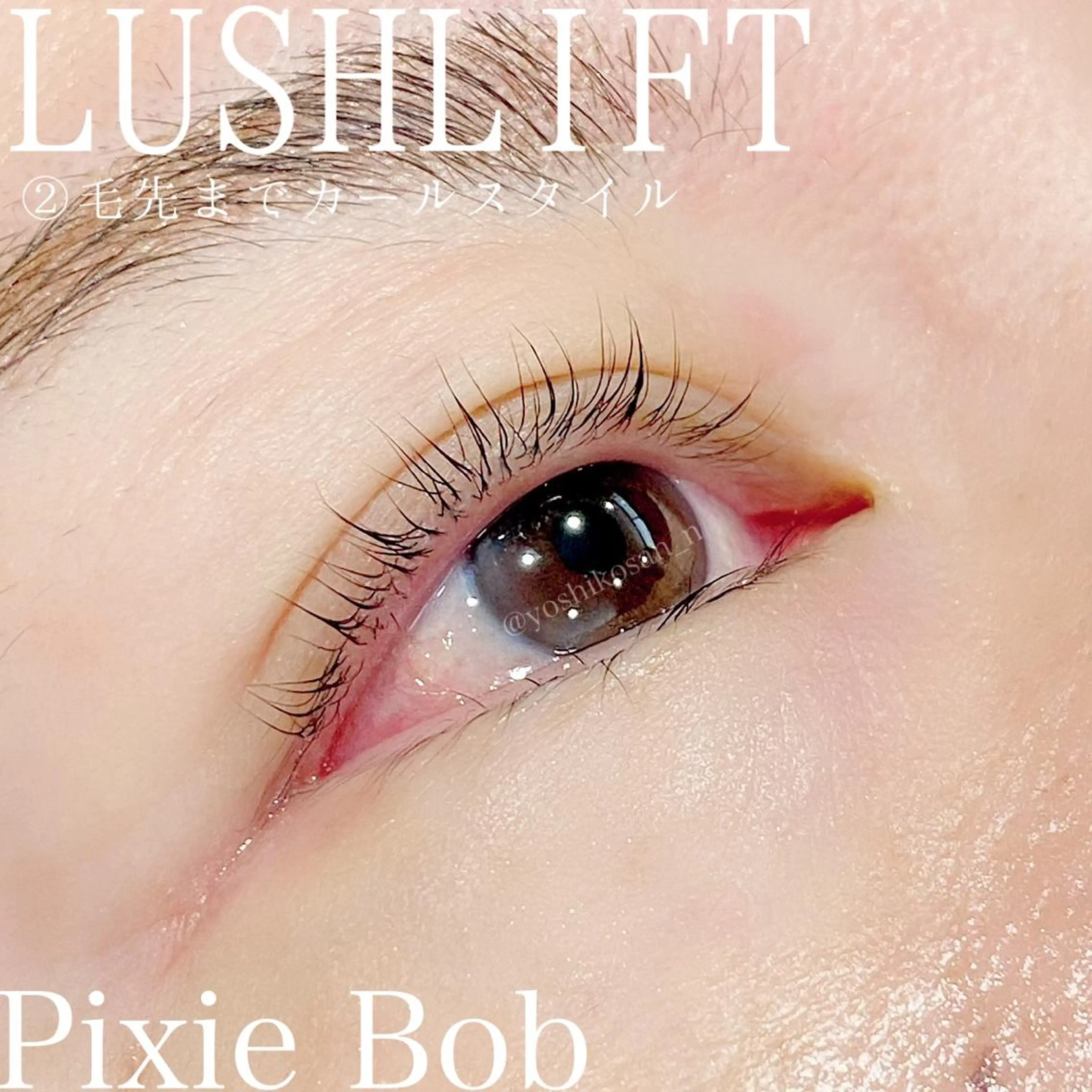 マツエク・マツパ カラーマツエク Pixie Bob 🐈‍⬛　位田のマツエク・マツパデザイン