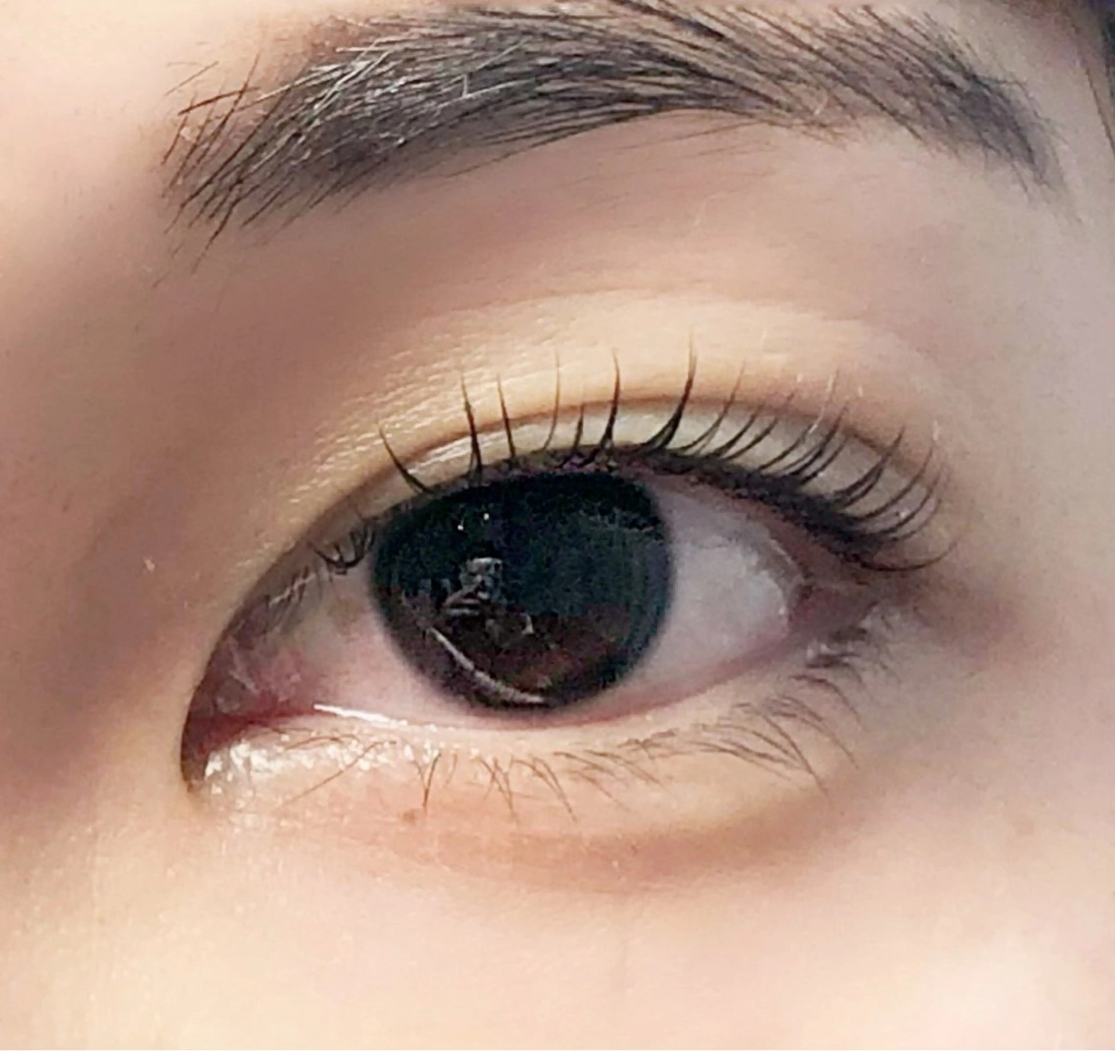 マツエク・マツパ ナチュラル ラッシュラッシュ 橋本店のマツエク・マツパデザイン