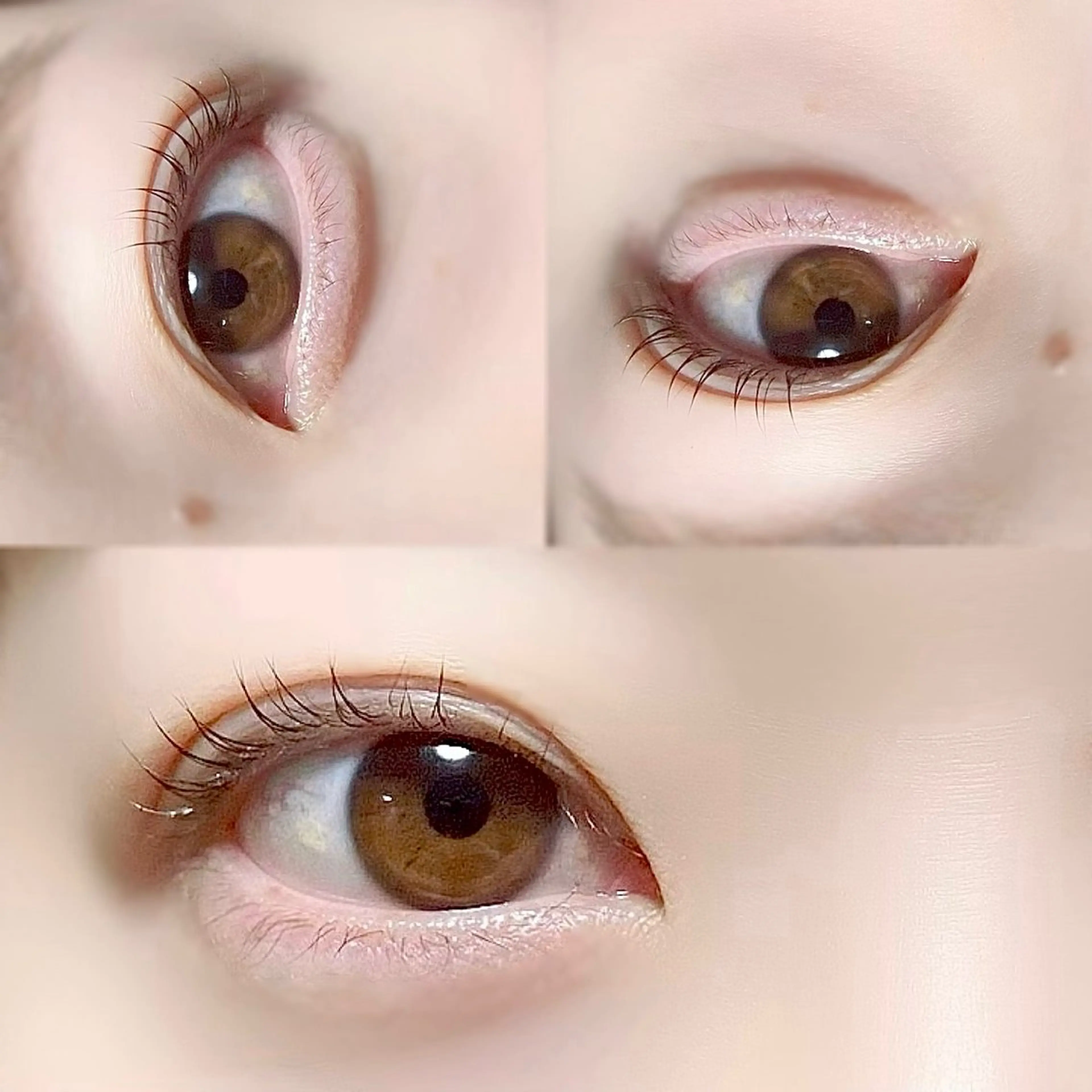 マツエク・マツパ eyelash salon meow所属・meow ayuの眉毛・アイブロウイメージ