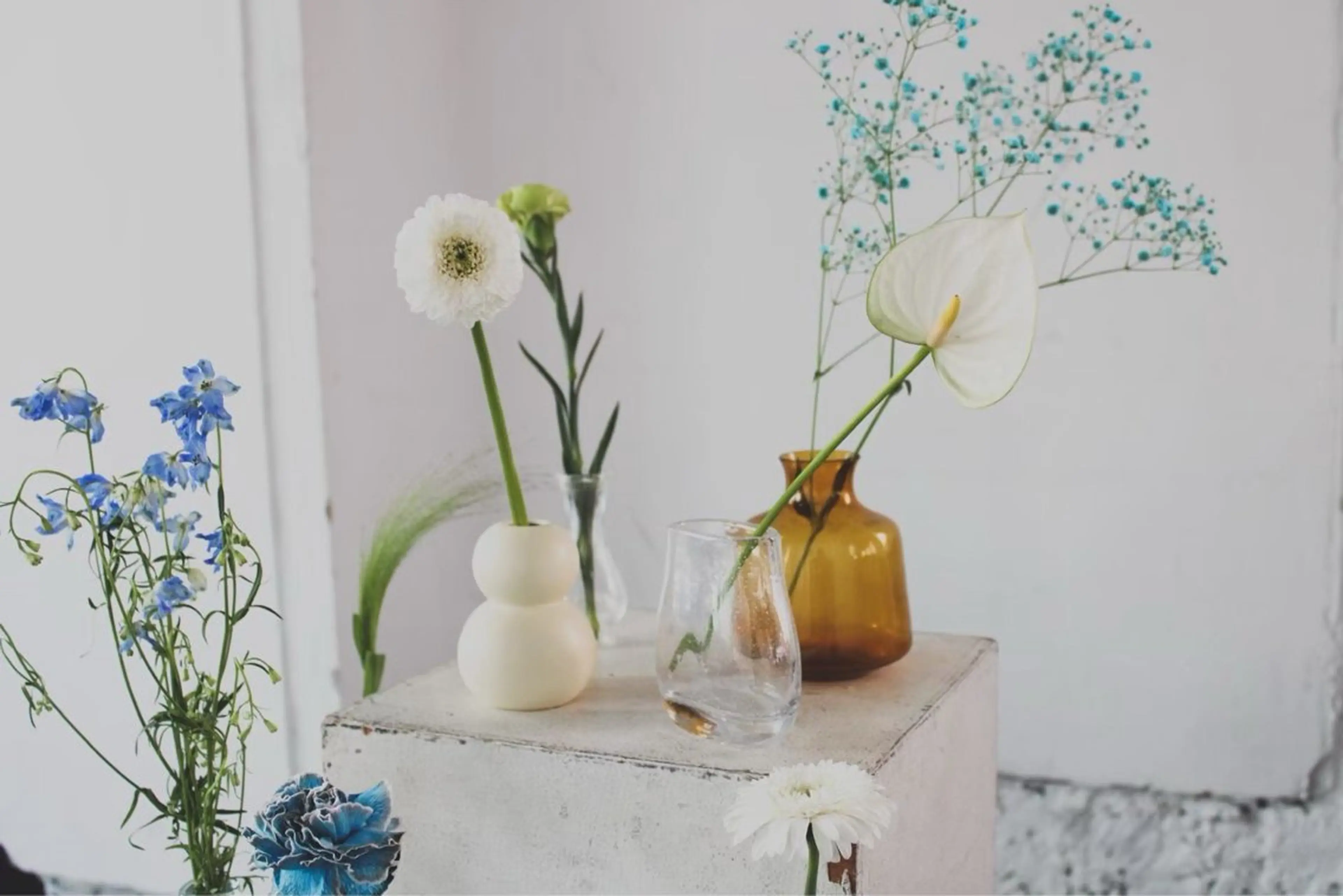 ショート 渋谷/原宿/メンズ/ コヤマトモヤのヘアスタイル