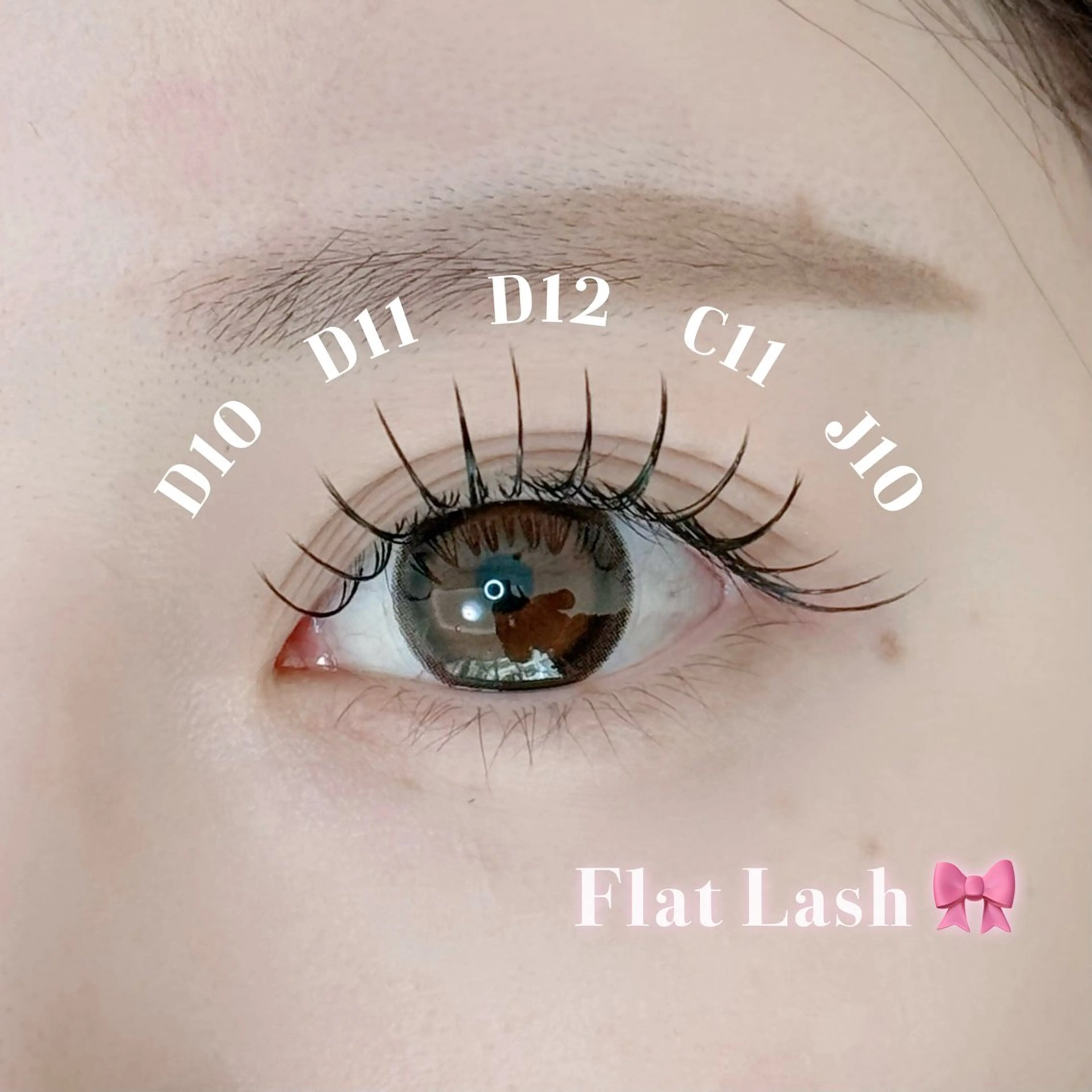 🦋当日予約限定🦋フラットラッシュ付け放題❕特別価格🤍の写真