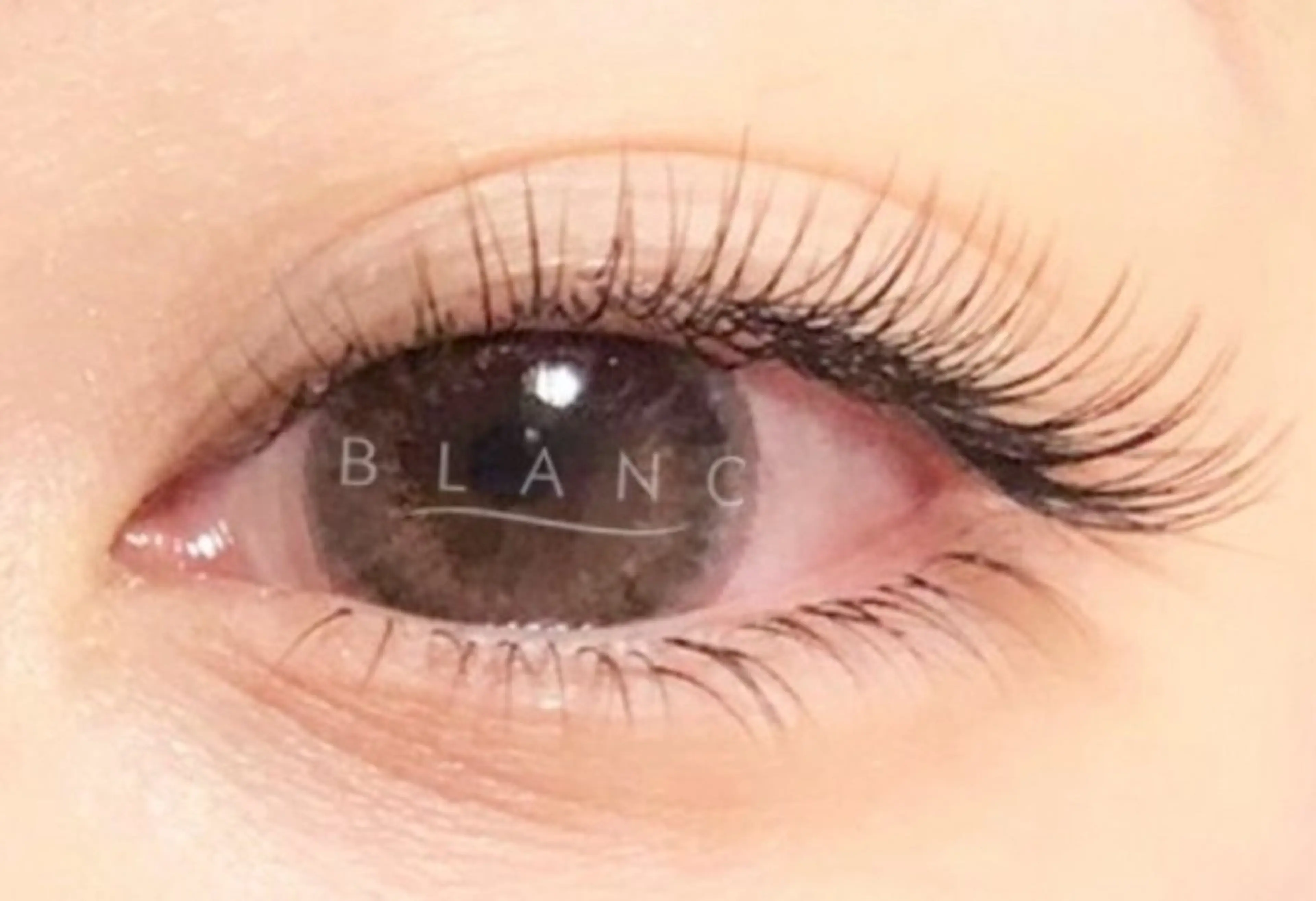 急募⚠️4/23限定☺︎エクステ上100本+下30本(オフ込み)社内検定モデル様募集の写真