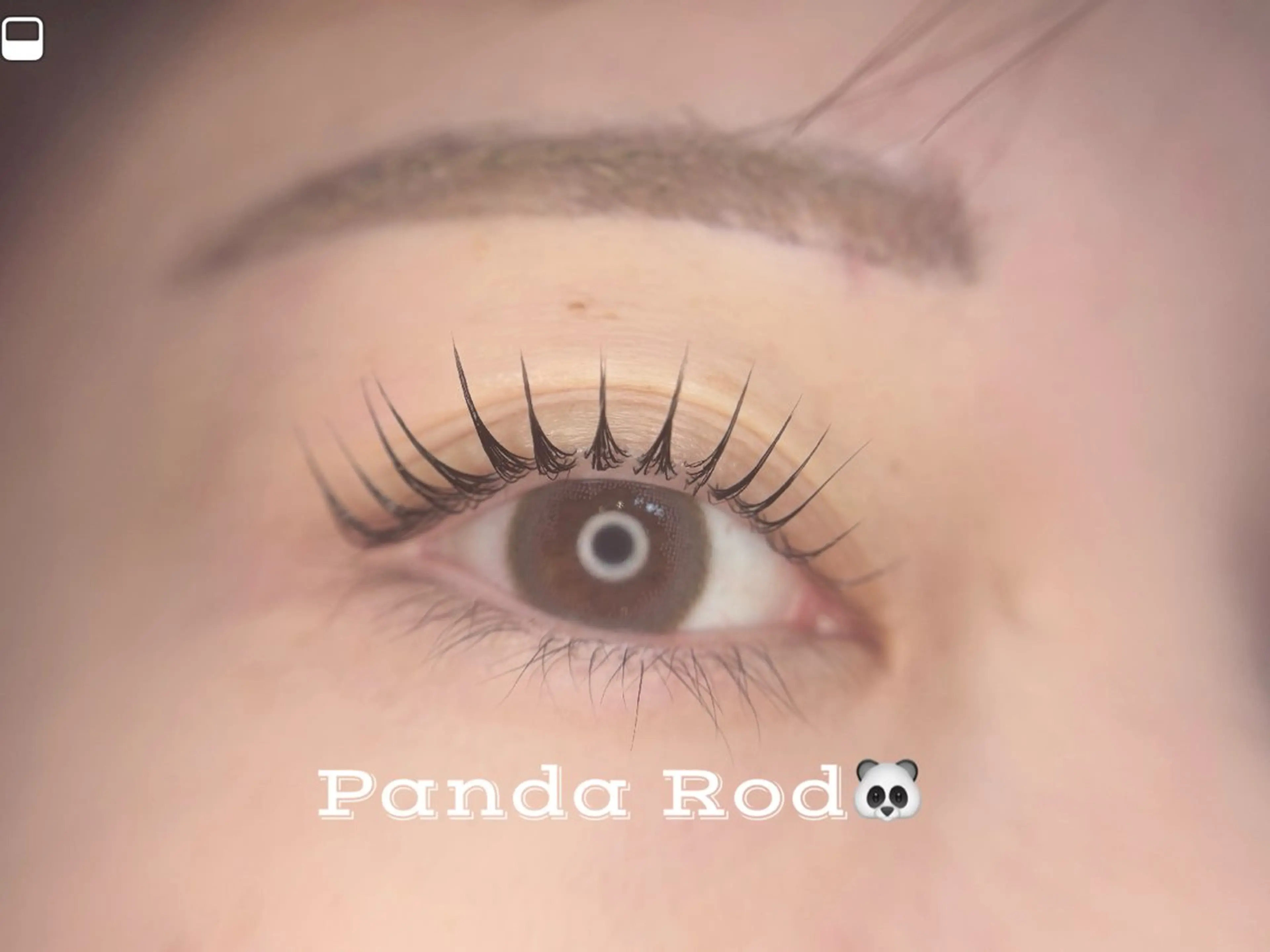 マツエク・マツパ 🦋MaaZlash 南流山FUKA🤍のマツエク・マツパデザイン