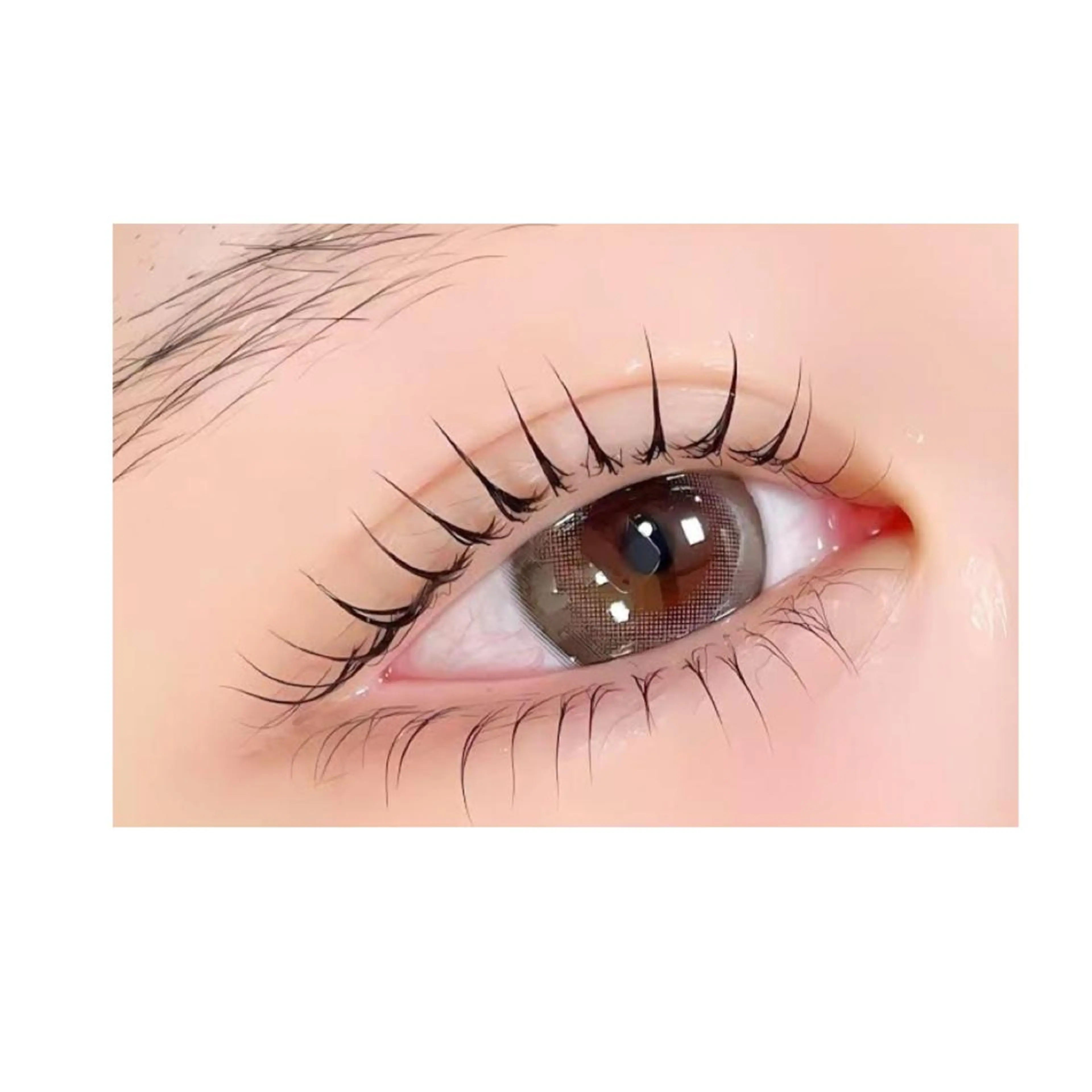 上下ラッシュリフトの写真