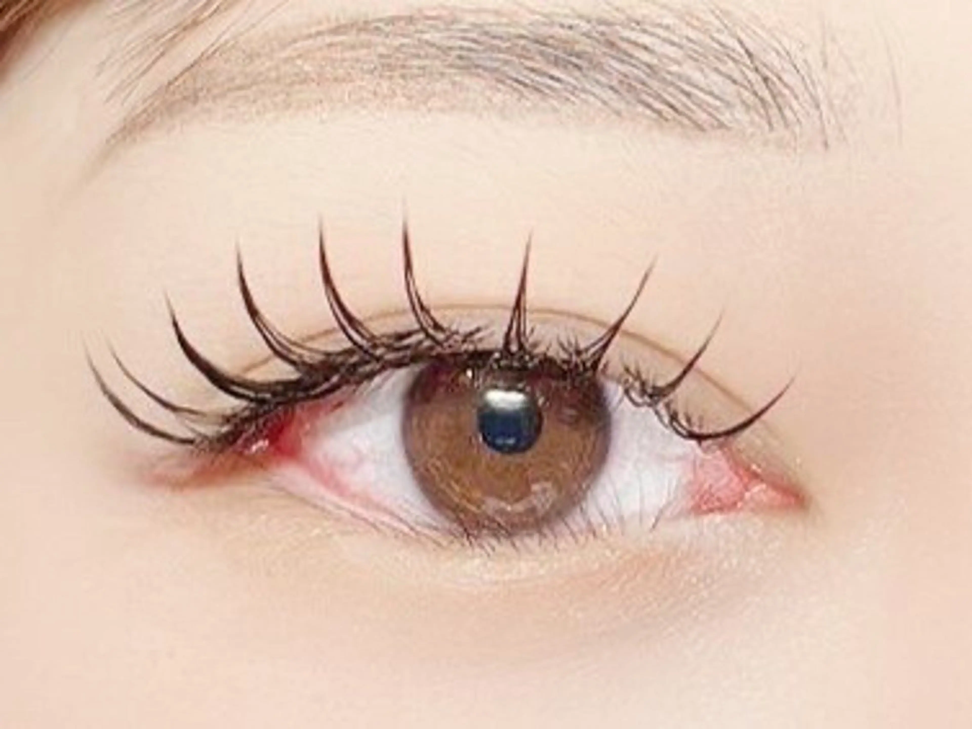 セーブルエクステ100本👀✨【LEDｲﾝｼｱﾝ➕¥1,120)の写真