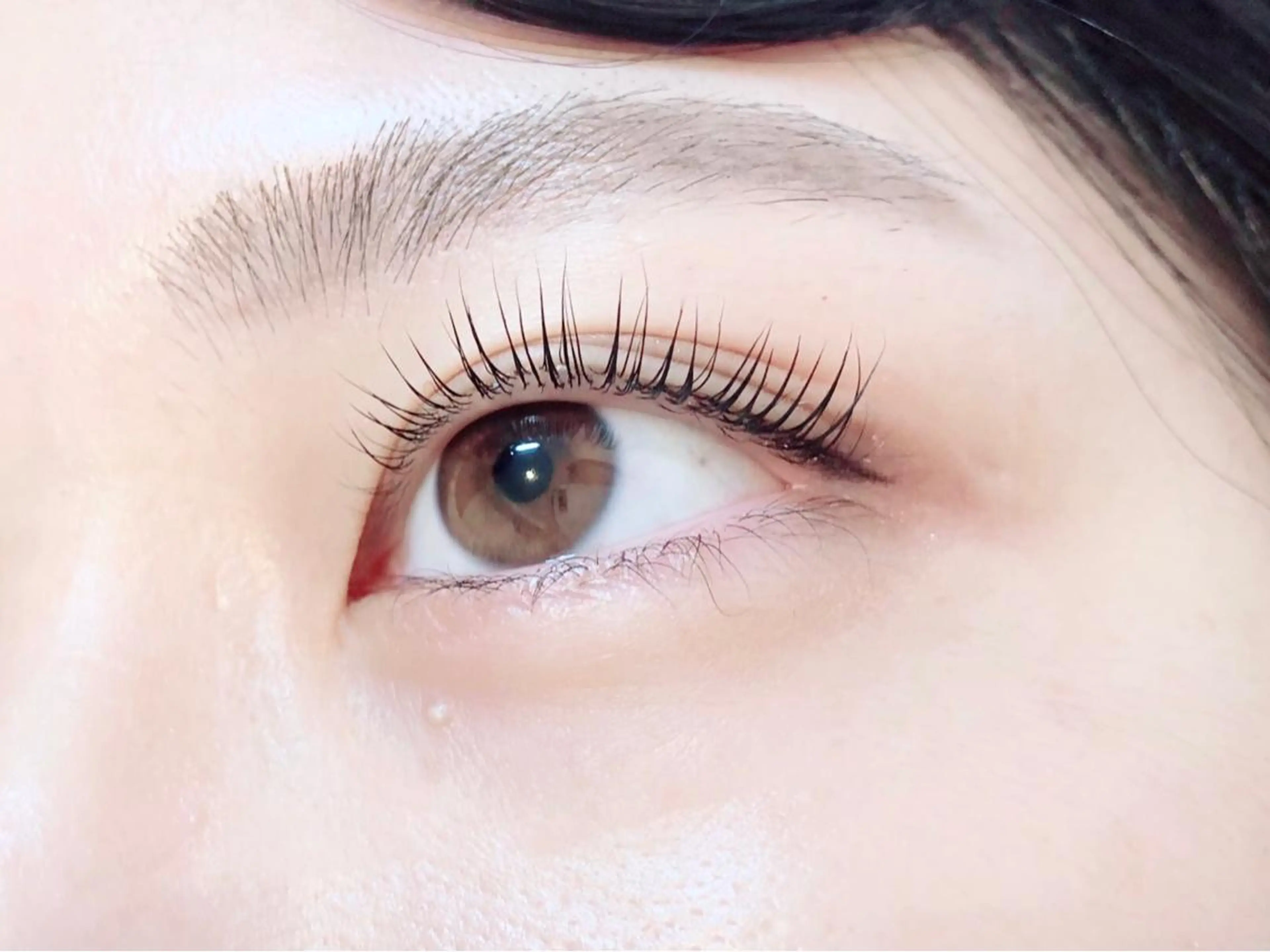 マツエク・マツパ パリジェンヌラッシュリフト デイジーラッシュ 大阪駅前第3ビルのマツエク・マツパデザイン