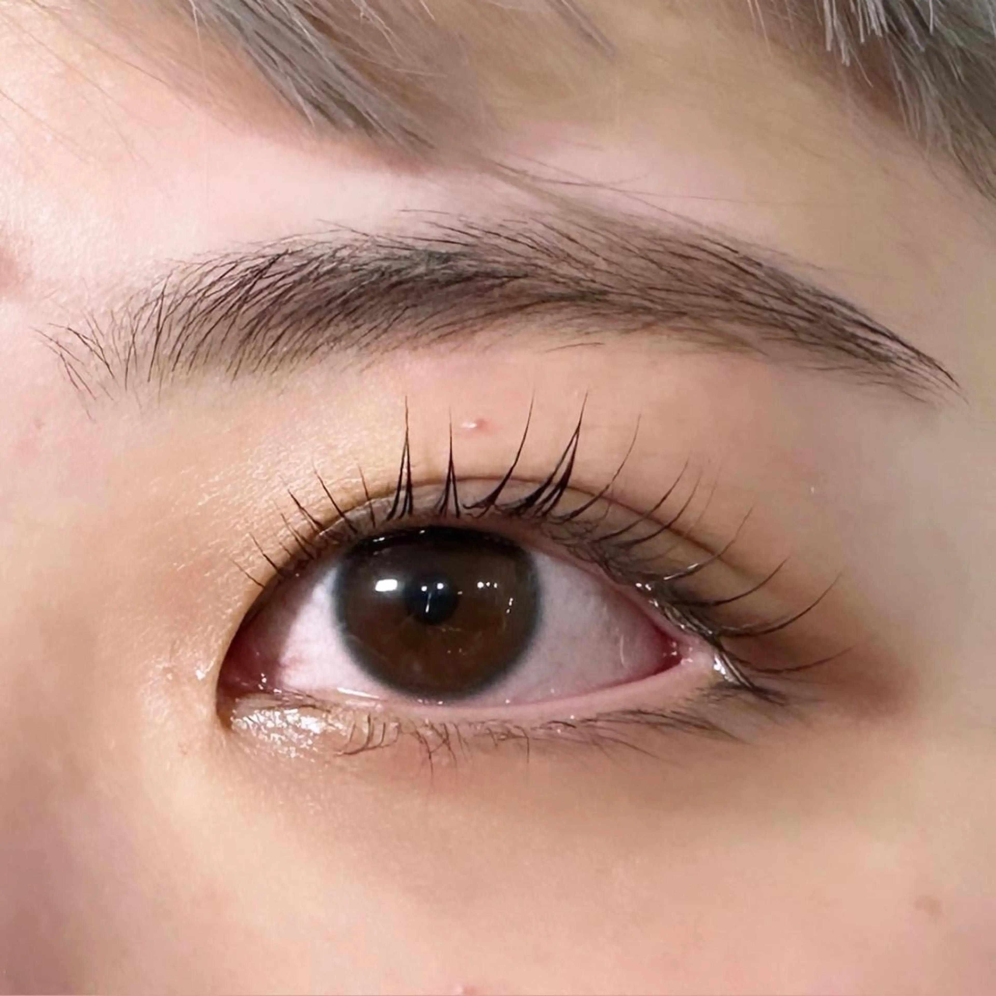 マツエク・マツパ アイブロウ パリジェンヌラッシュリフト ワックス脱毛 眉カット その他(アイブロウ) 川畑🌻 アンジェリカ錦糸町のマツエク・マツパデザイン