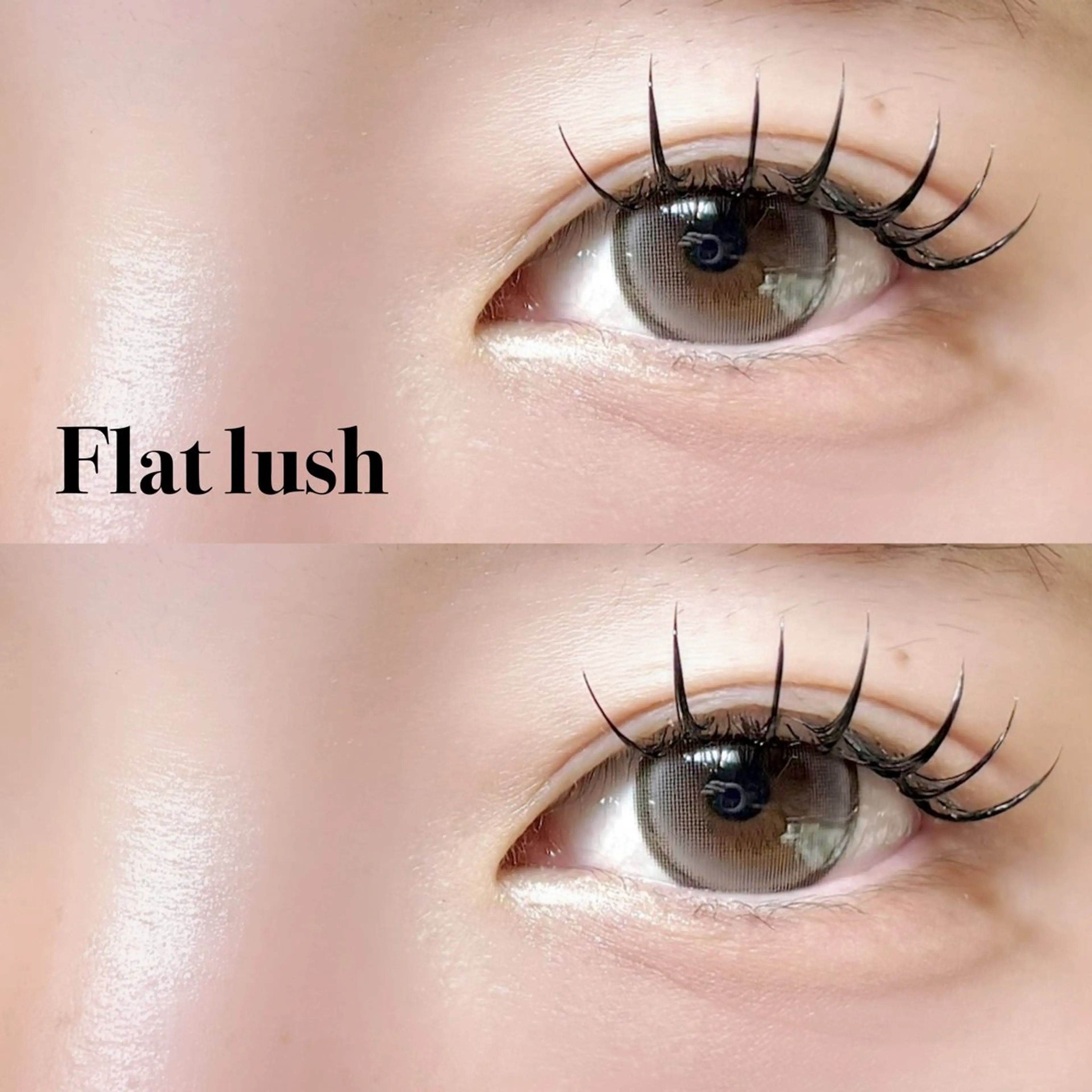 マツエク・マツパ フラットラッシュ 【Elun新宿】 ❤︎ 𝑴𝑨𝑶のマツエク・マツパデザイン