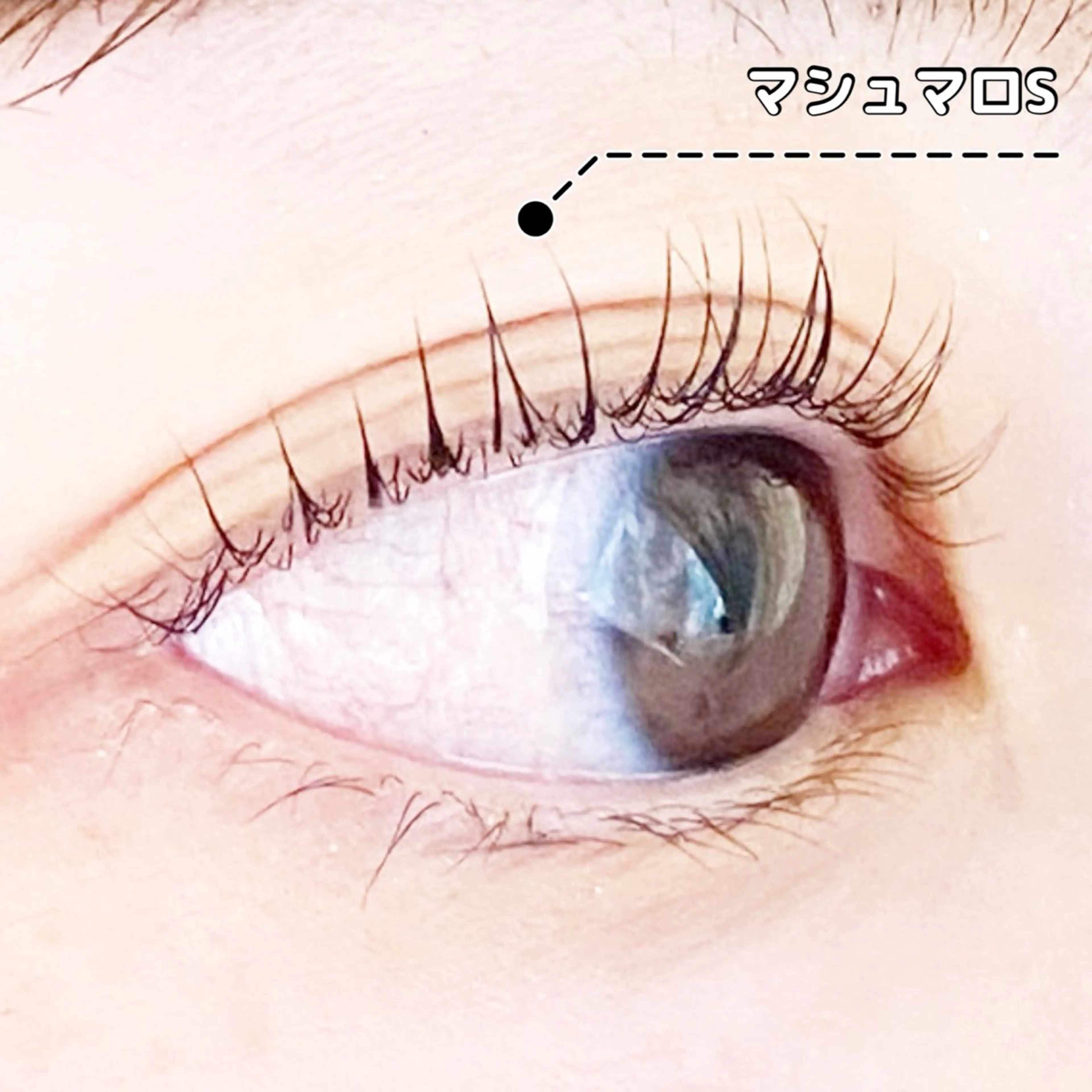 マツエク・マツパ パリジェンヌラッシュリフト LC尾張旭店🫧 いしいのマツエク・マツパデザイン