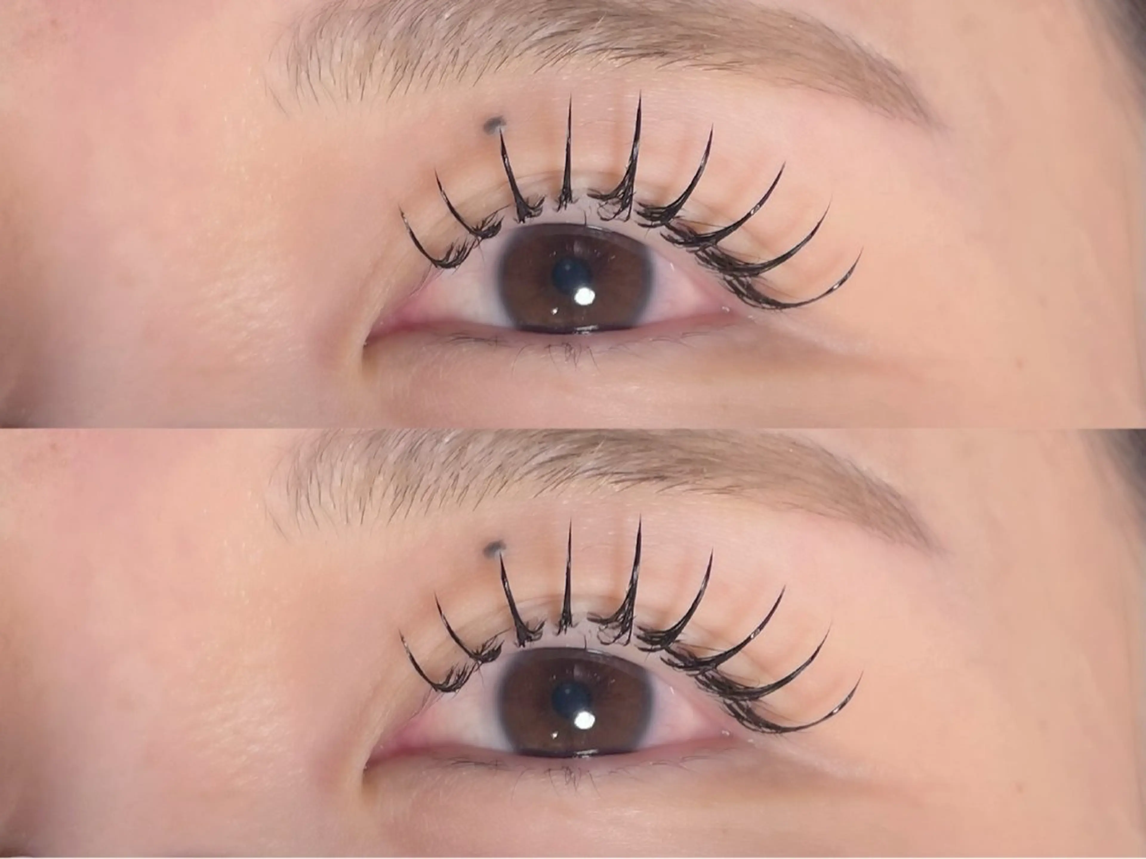 【🦋マツエク🦋】フラットラッシュ140本💫必ず注意事項ご確認お願いいたします!の写真