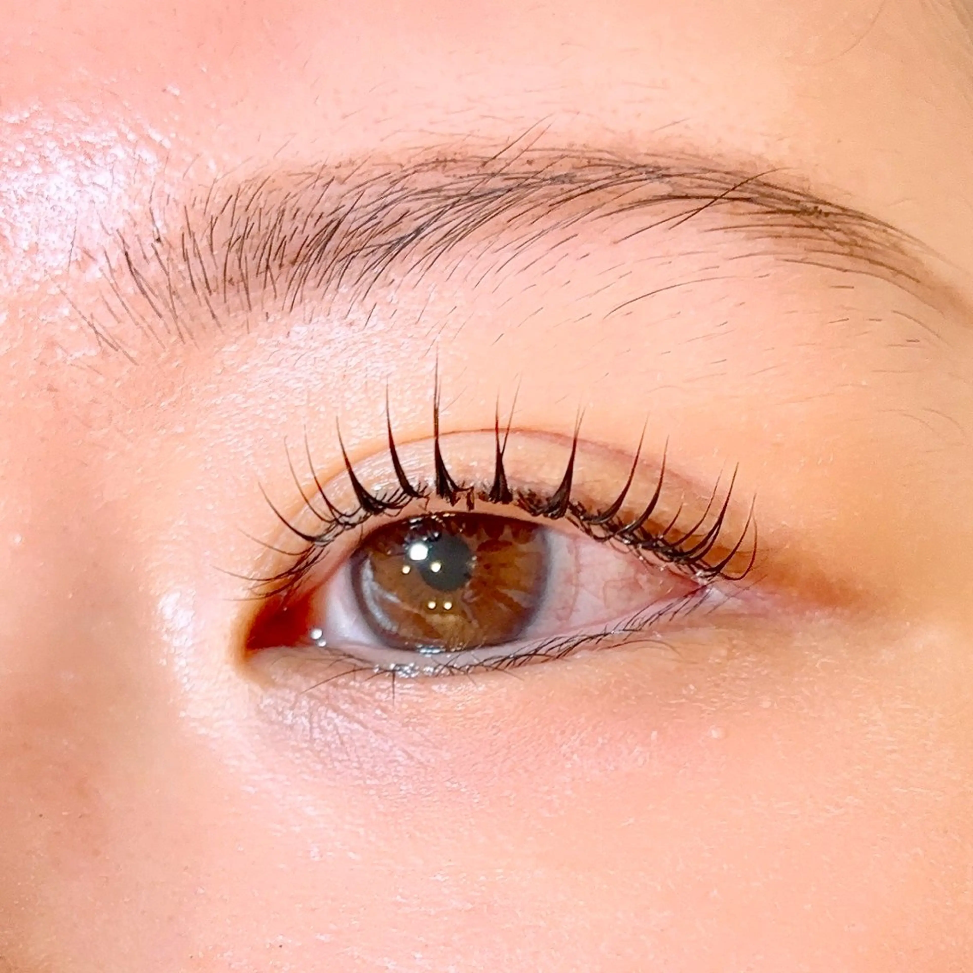 マツエク・マツパ Honey＆Miel ‪🐣‎🤍AiRiのマツエク・マツパデザイン