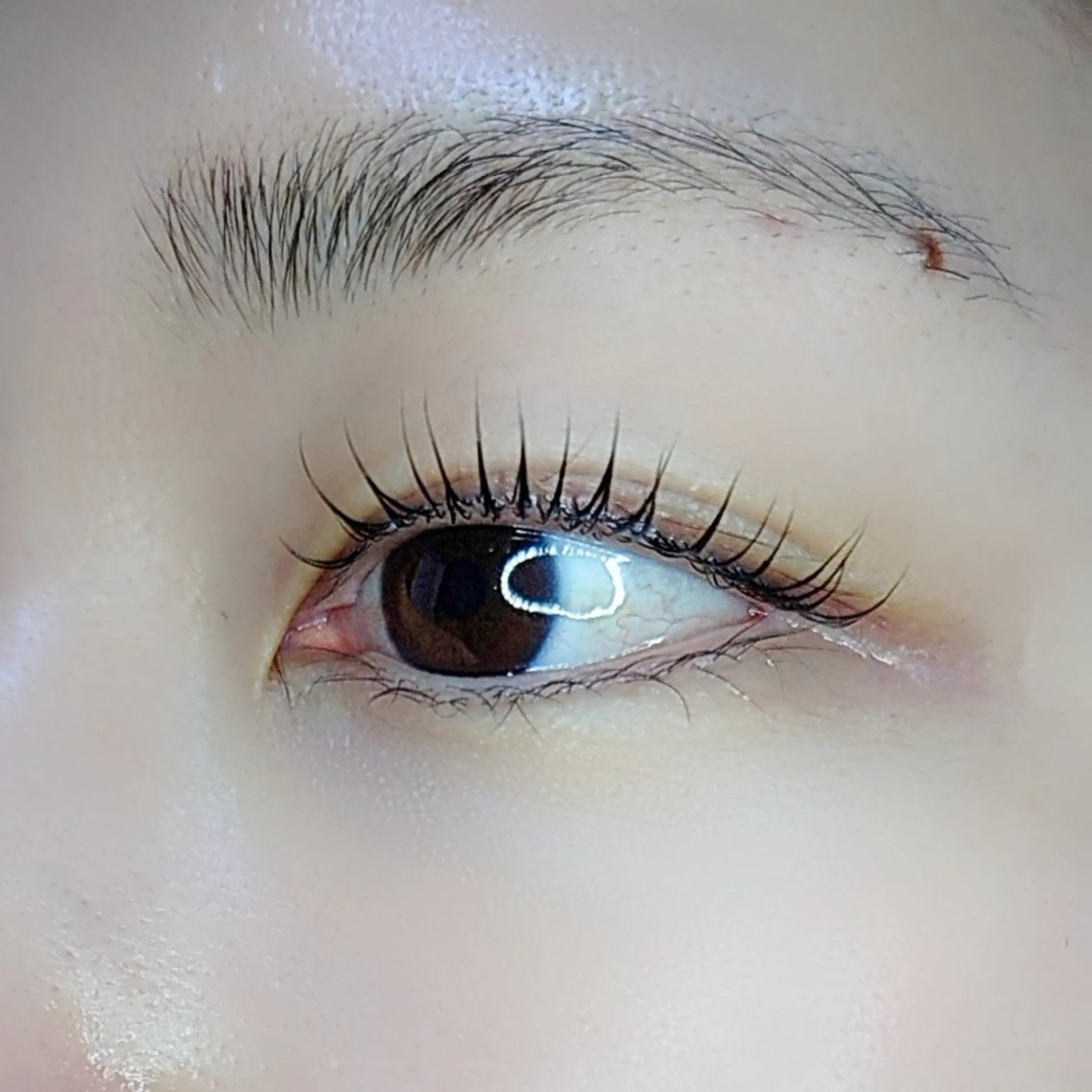 マツエク・マツパ マツパ EYELASH lino　合志市のマツエク・マツパデザイン