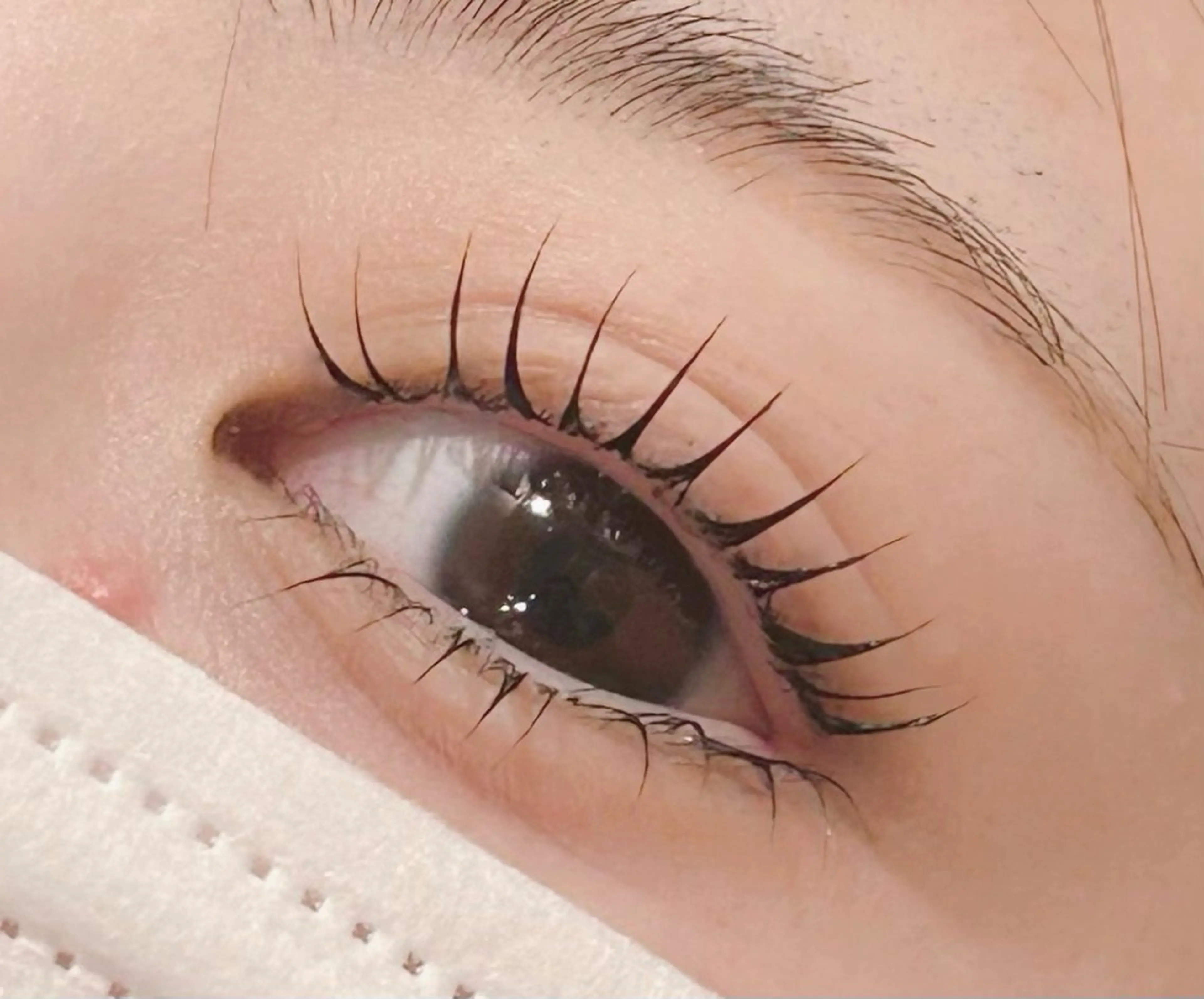 💡1日3名限定✨🧚🏻‍♀️パリジェンヌorラッシュリフト上下🧚🏻‍♀️¥6200🩵の写真