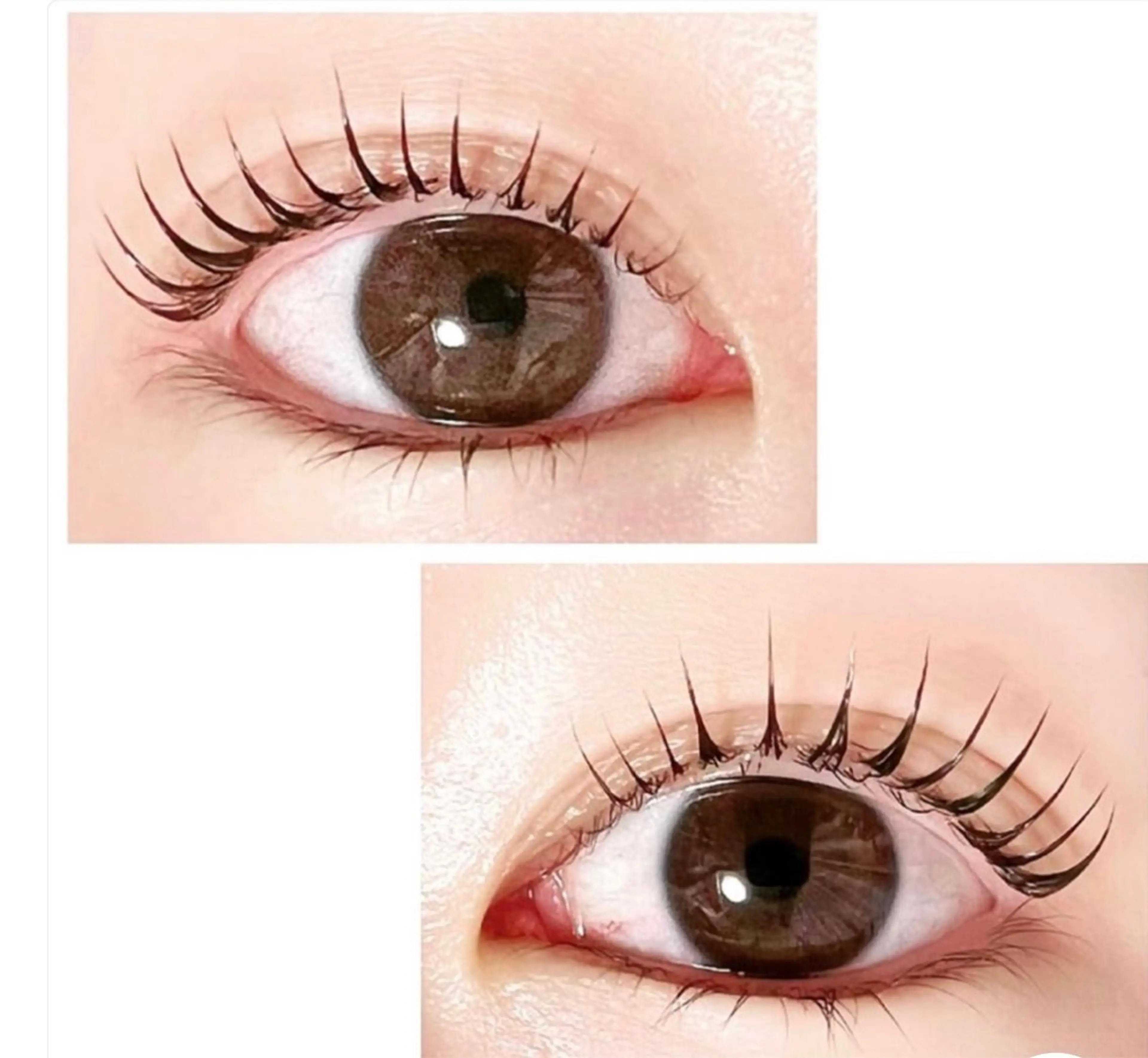 ◆オススメ◆人気の束感♪パリジェンヌラッシュリフト¥5000の写真