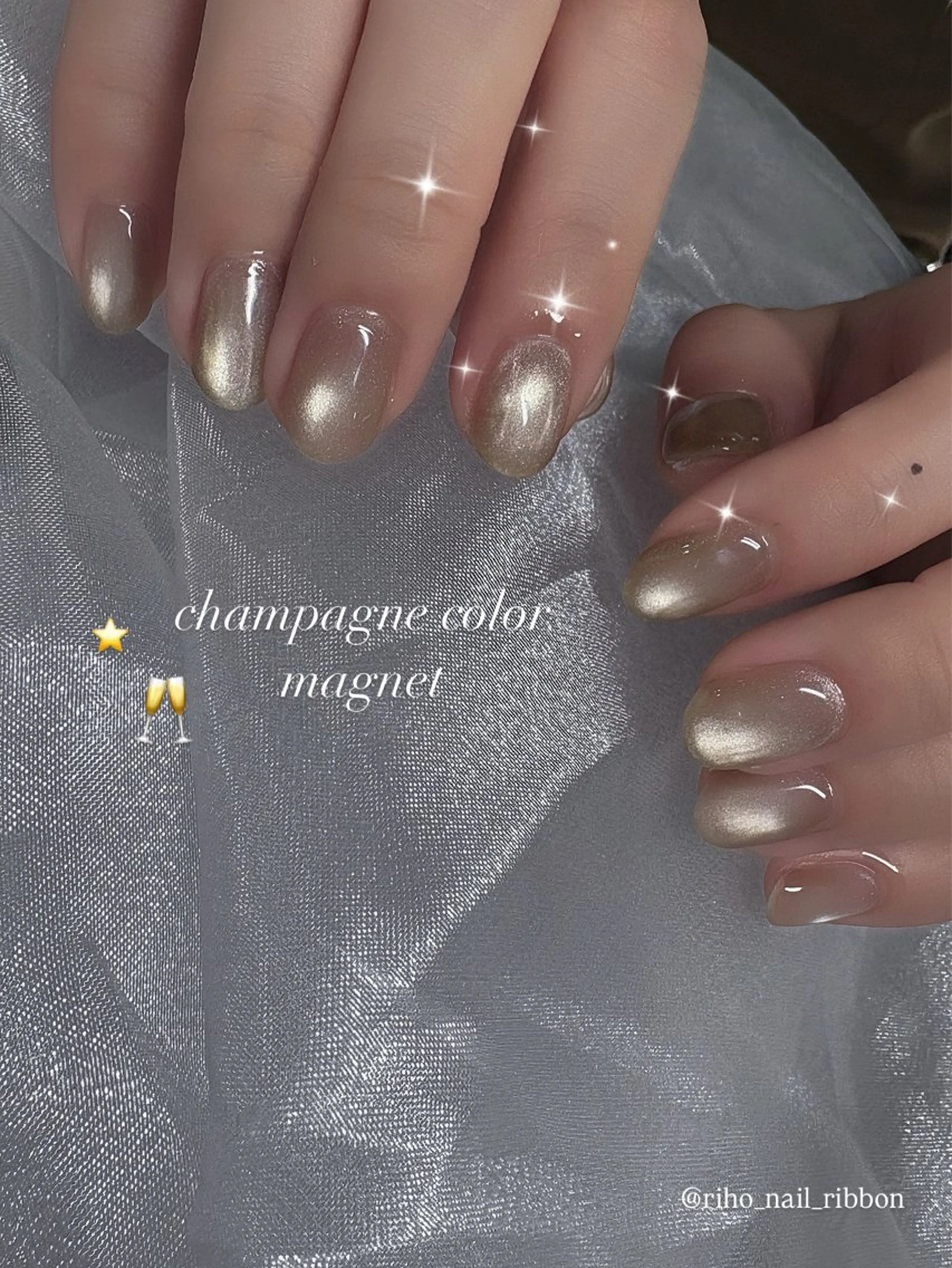 ネイル ハンドネイル 艶/マグネット/網紅 /韓国/岩下りほのネイルデザイン