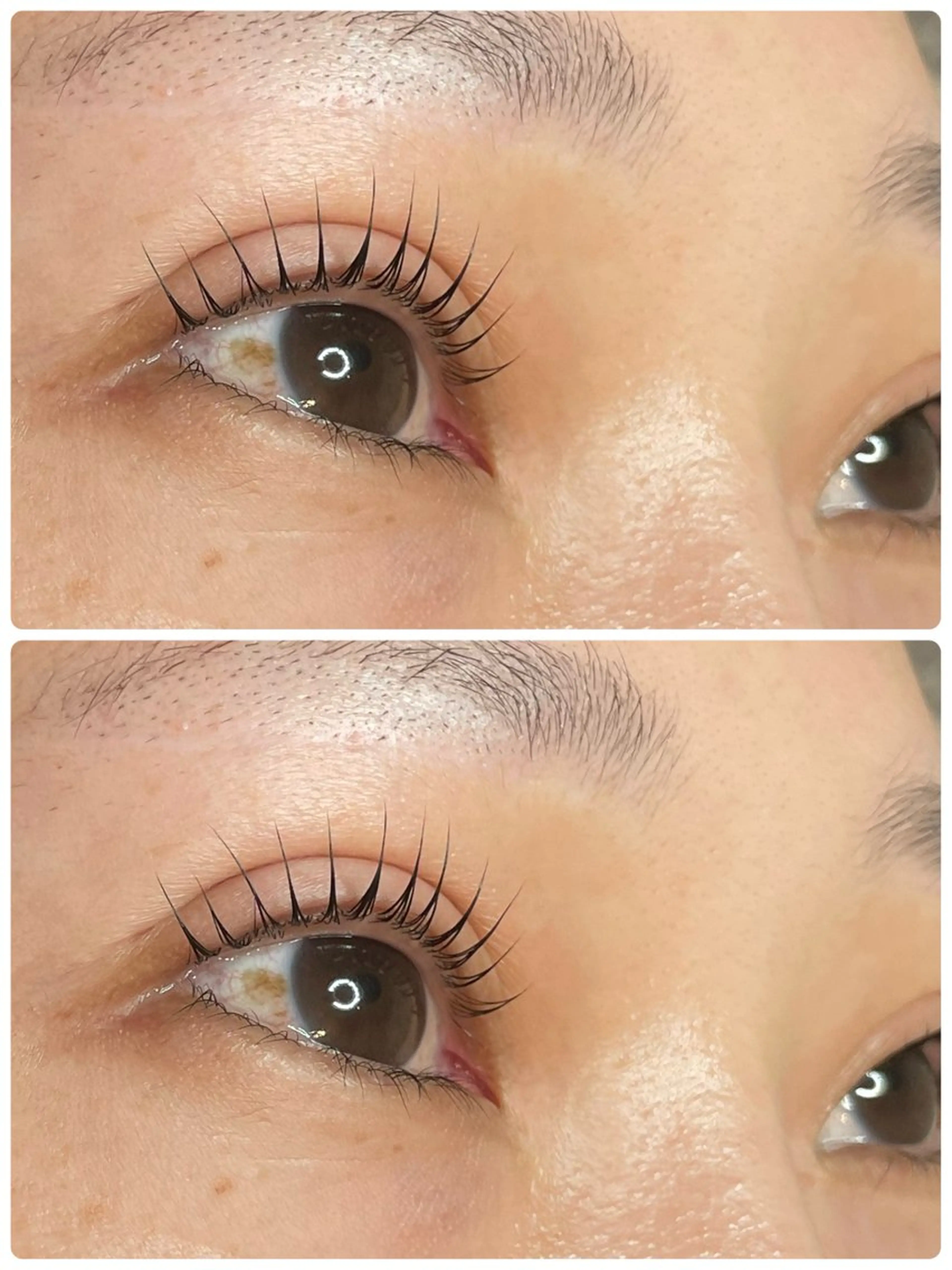 マツエク・マツパ パリジェンヌラッシュリフト マツパ MAQUIA 宮崎店  中村のマツエク・マツパデザイン