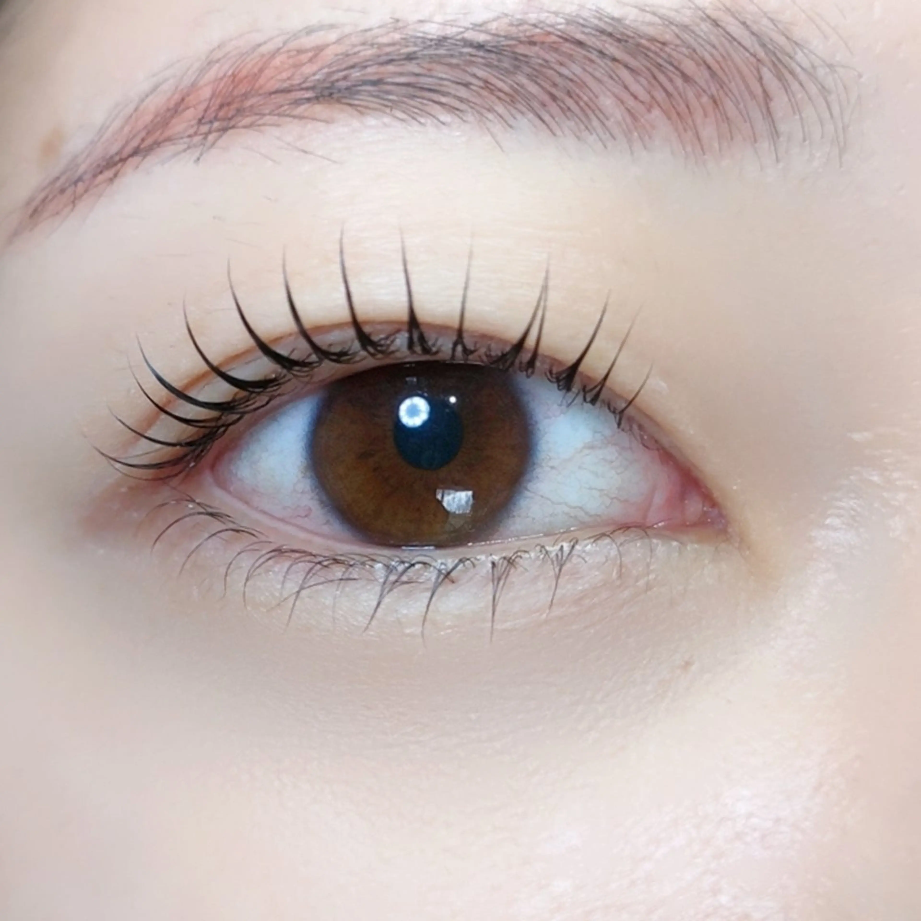 ✨人気✨小顔効果抜群の上下まつげパーマ🌼美容液束感コーティング仕上げ🌼の写真