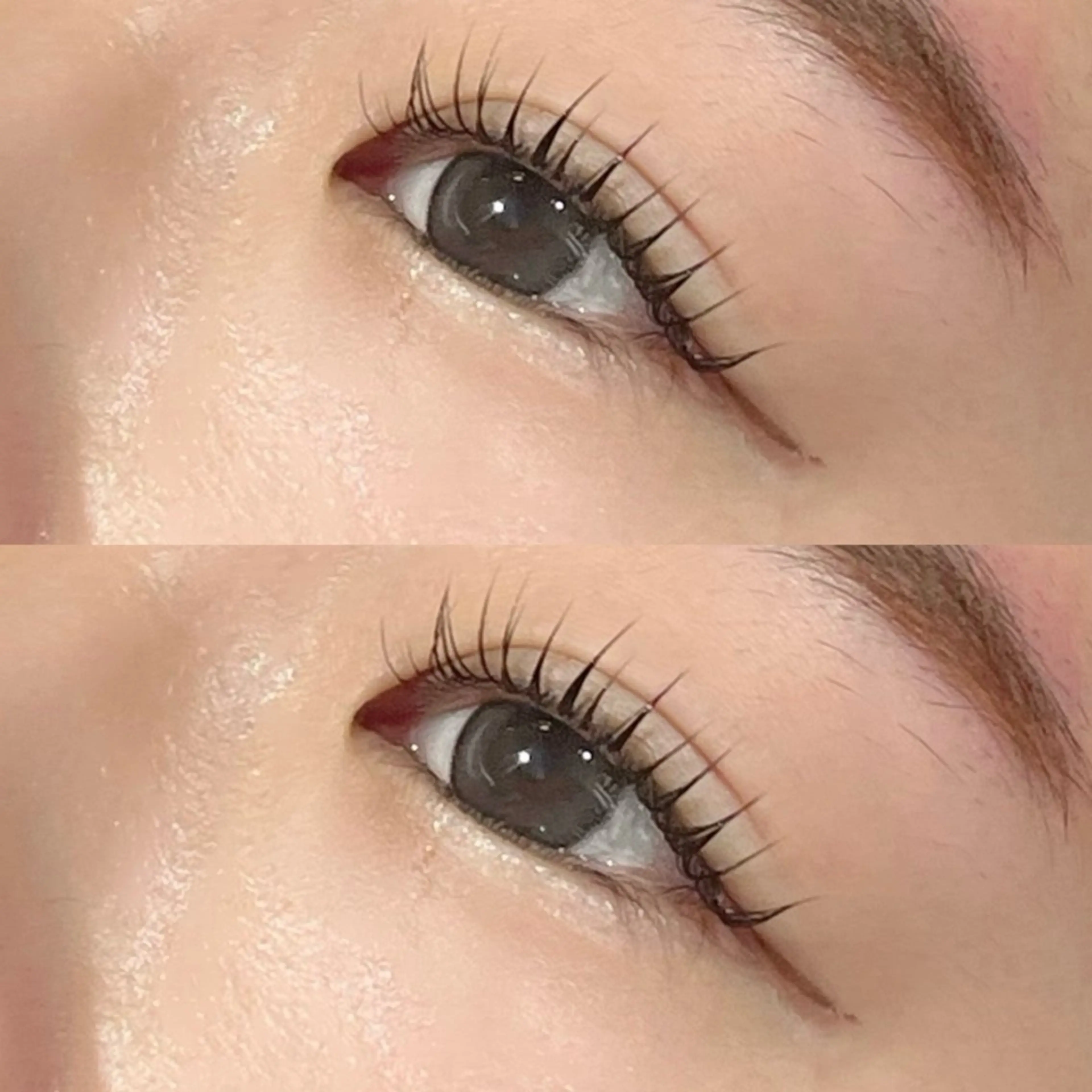 🪽パリジェンヌラッシュリフト🪽  23%off コーティングお仕上げ込◎の写真