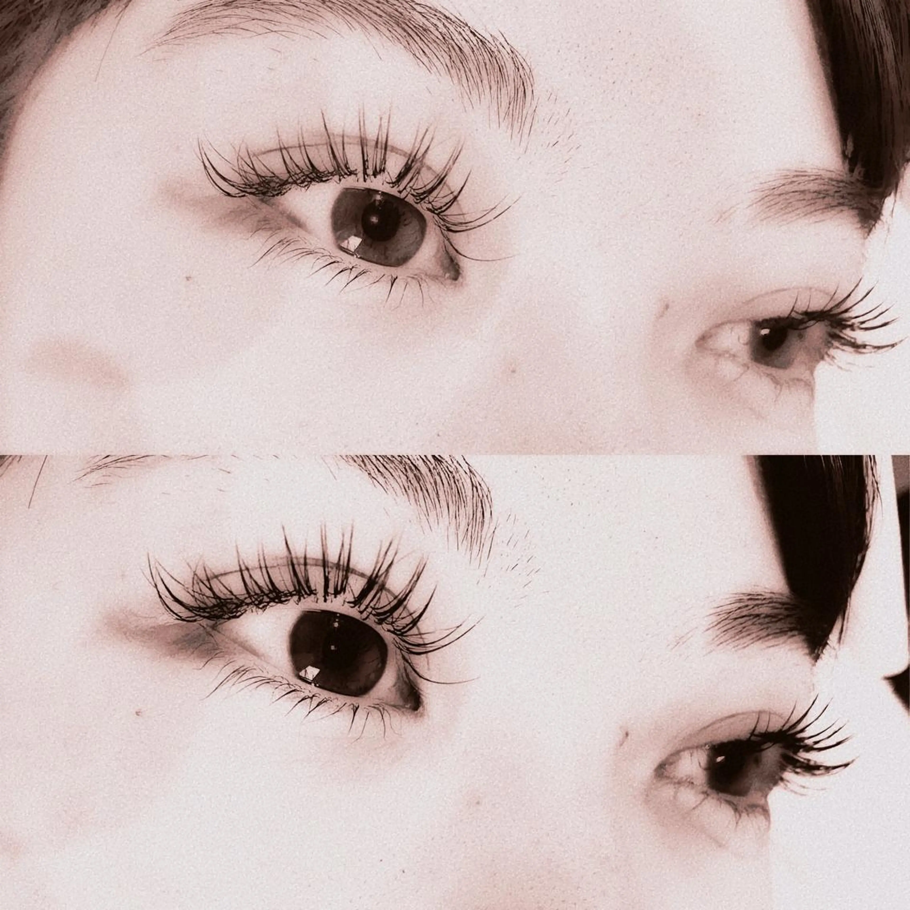 他店リペok【ボリューム2倍3倍エクステ！！】【メガマットボリュームラッシュ】200束までお付け足しなどにもオススメ◎の写真