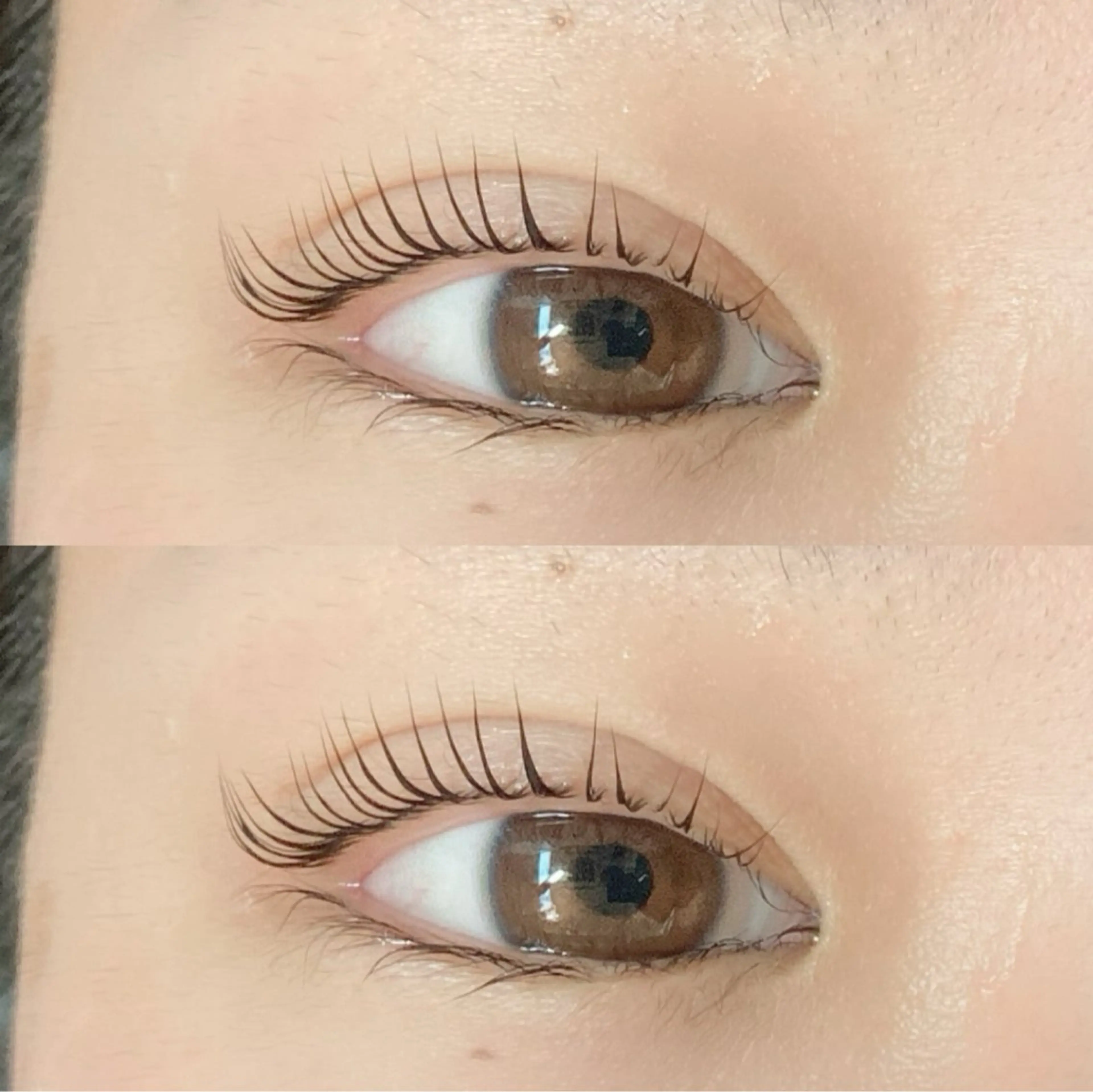 マツエク・マツパ カラーマツエク フラットラッシュ 韓国風マツエク 一重×まつ毛パーマ ワンホンマツエク sigh yurieのマツエク・マツパデザイン