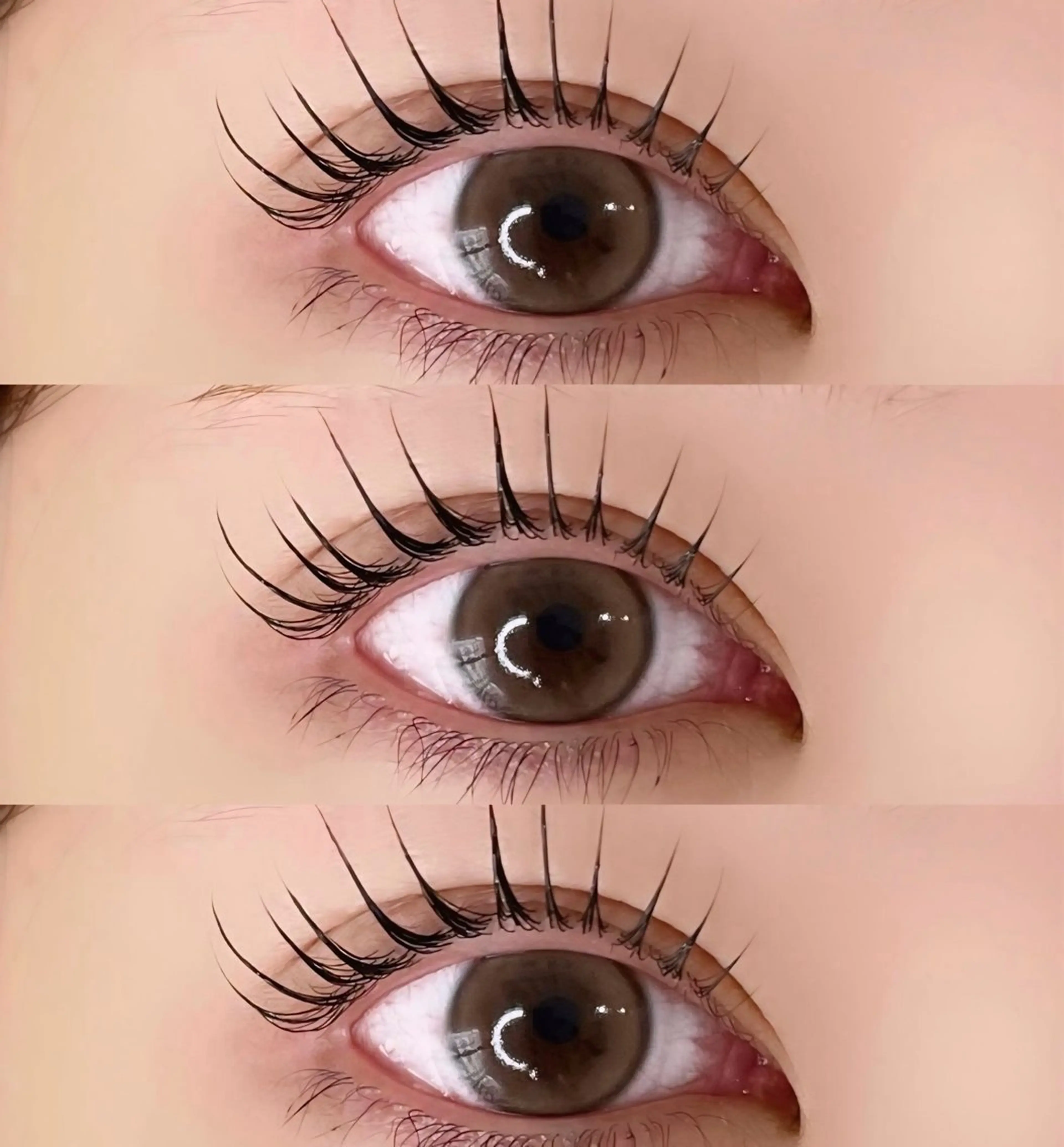 🪐パリジェンヌorラッシュリフト※注意事項必読🪐の写真