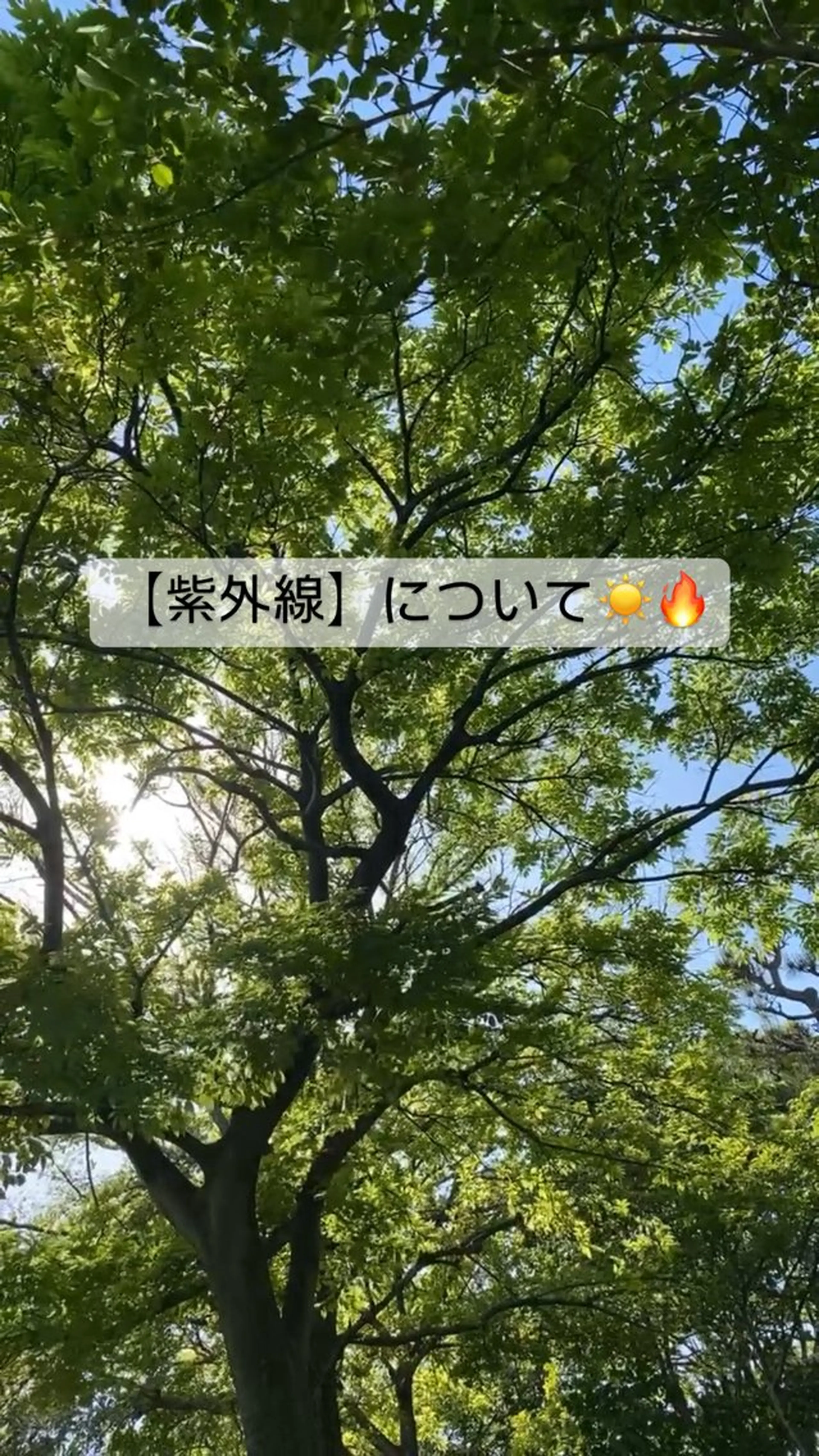 エスペランス 木下のエステ・リラクイメージ