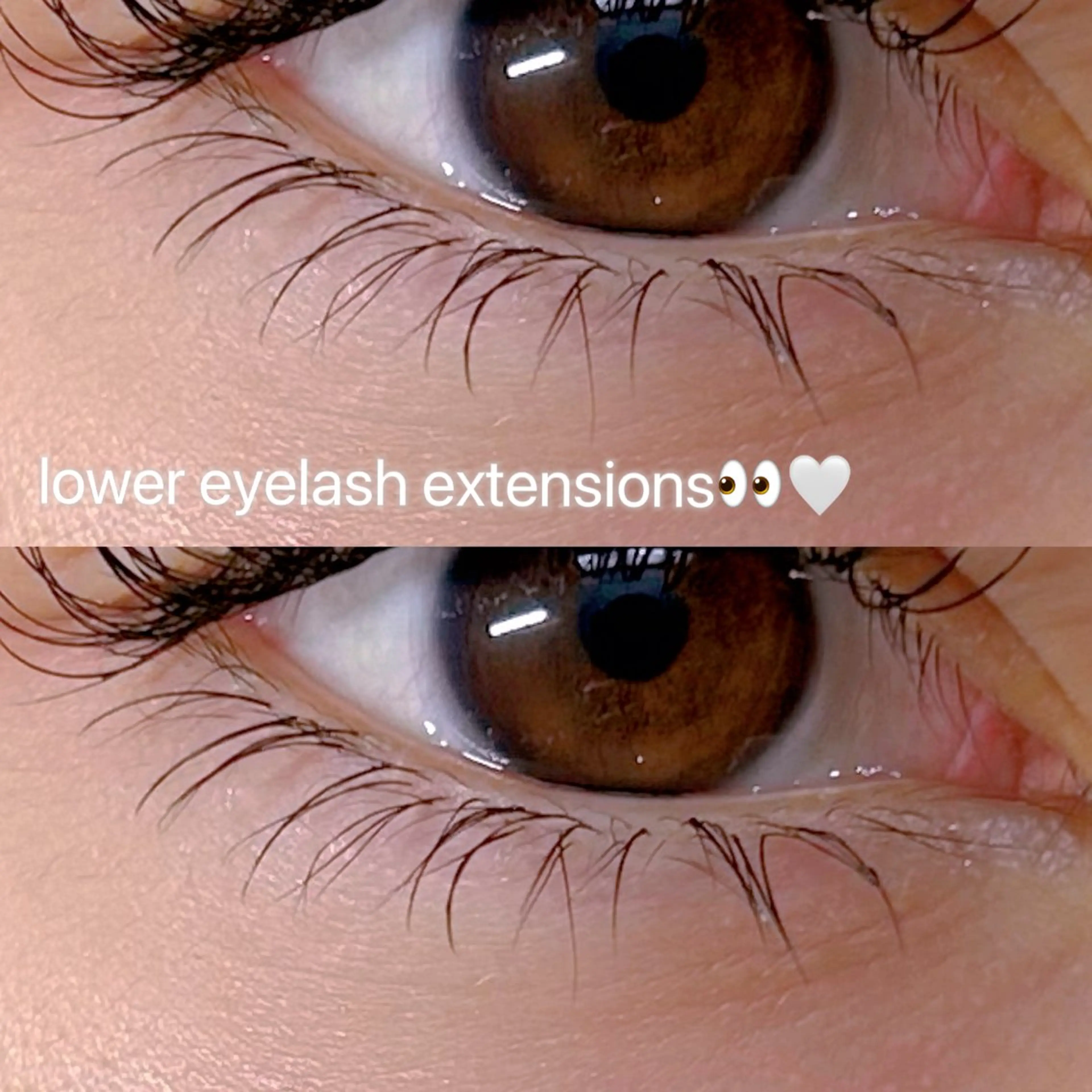 🦋上まつげメニューも同時施術希望の方限定🦋下まつげ付け放題👀🤍の写真