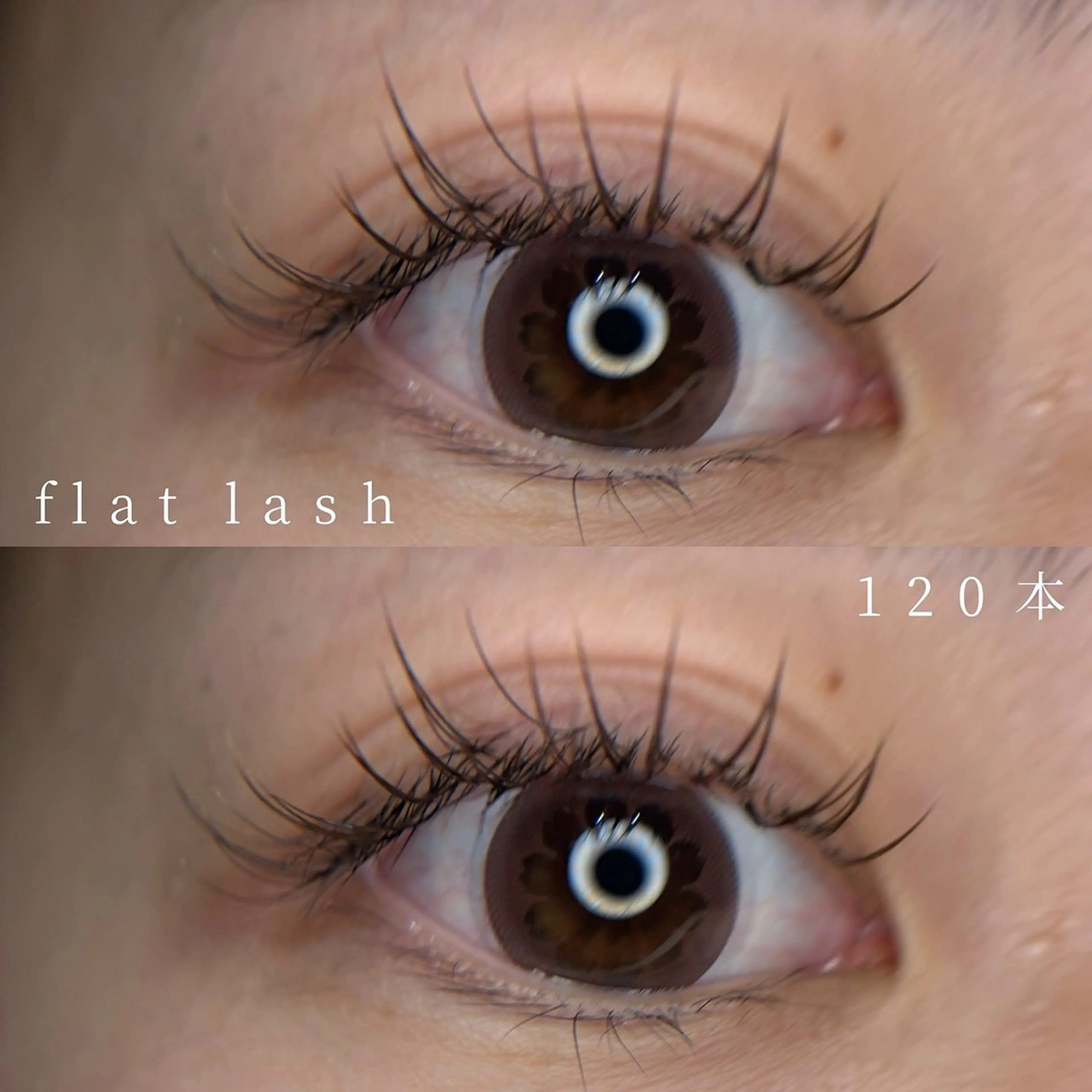 【マツエク】フラットラッシュ130本/カラー変更無料の写真