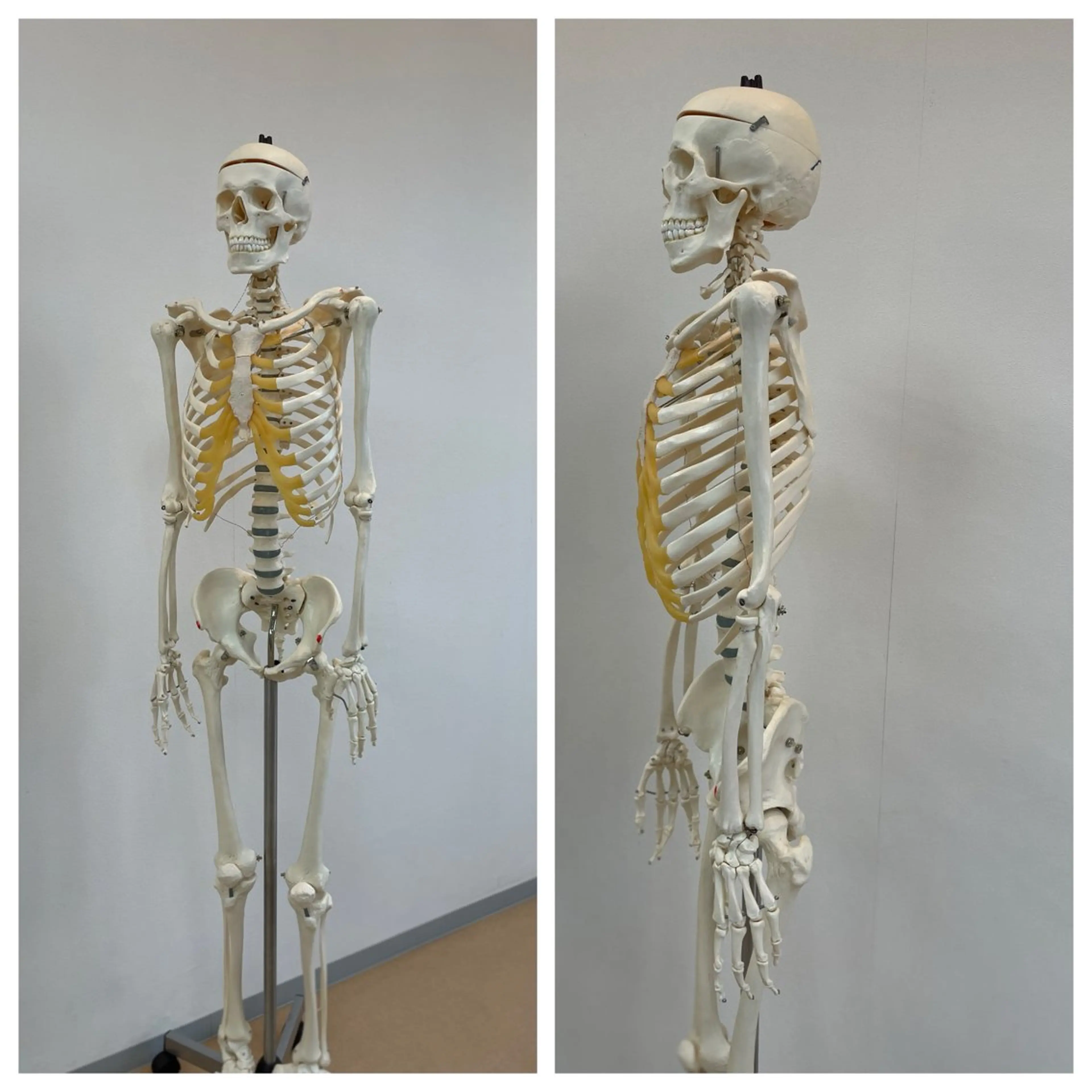 出口 登美恵のエステ・リラクイメージ