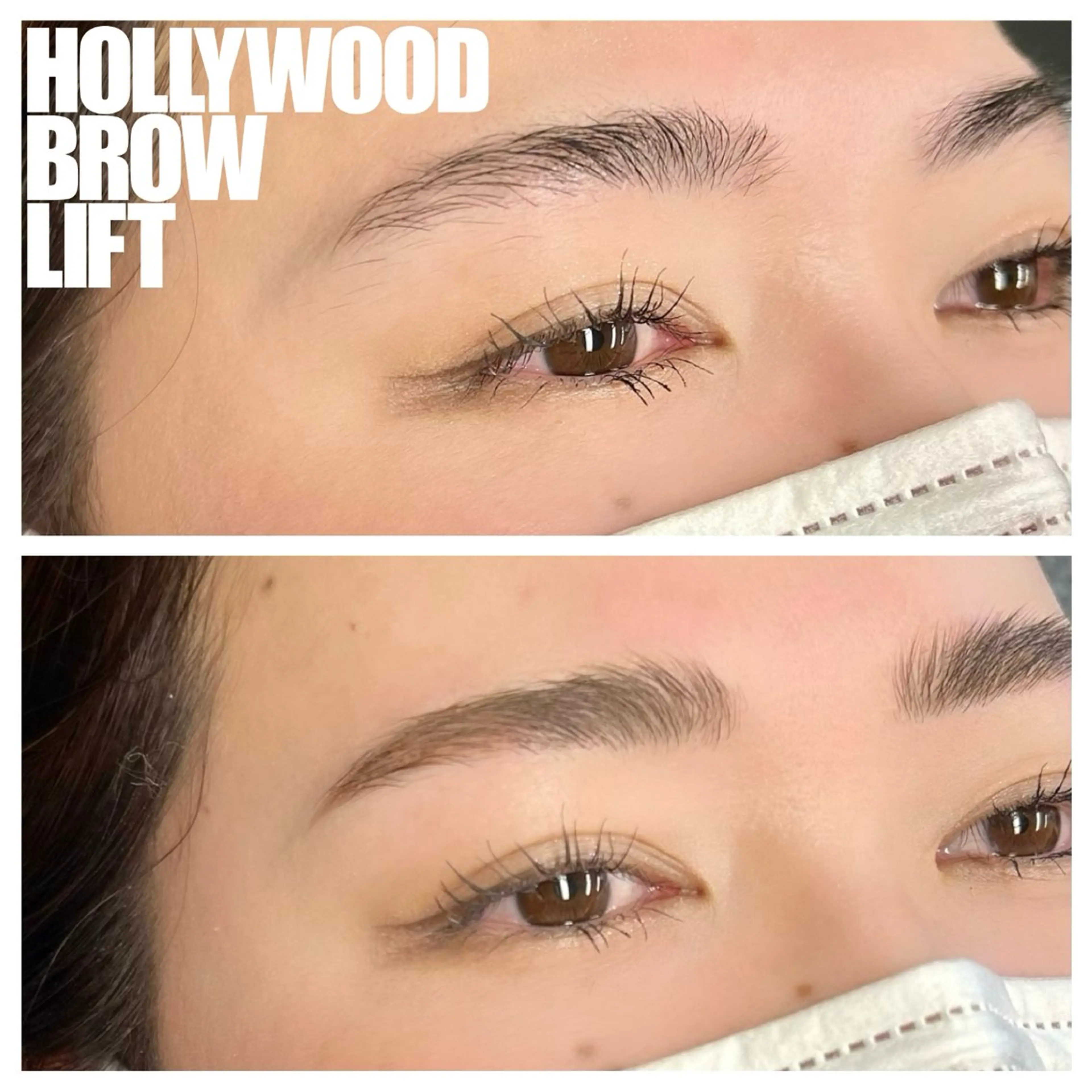 ハリウッドブロウリフト/HBL ¥6500⇨¥5400の写真