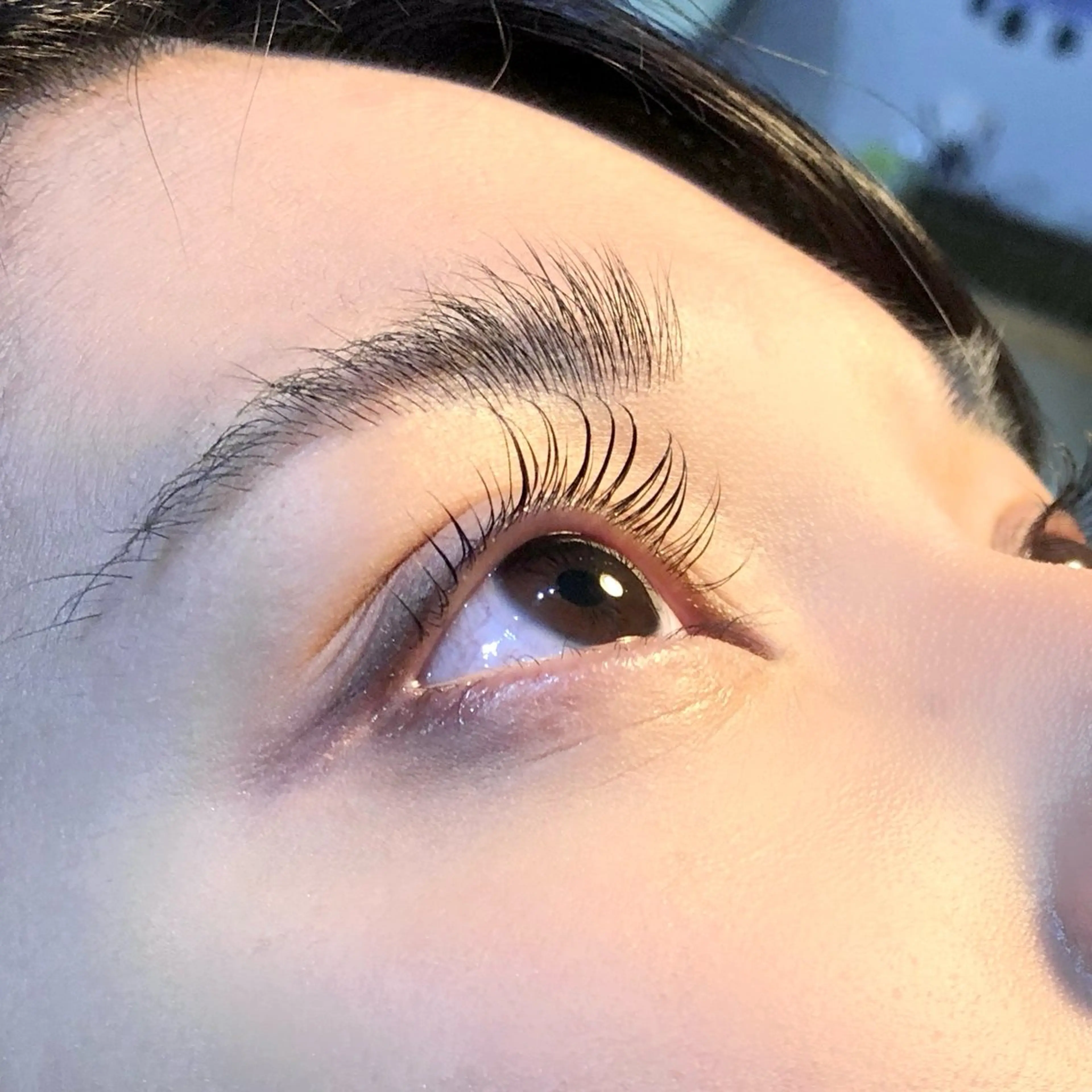 マツエク・マツパ 束感まつ毛 belmina 【大名】のマツエク・マツパデザイン