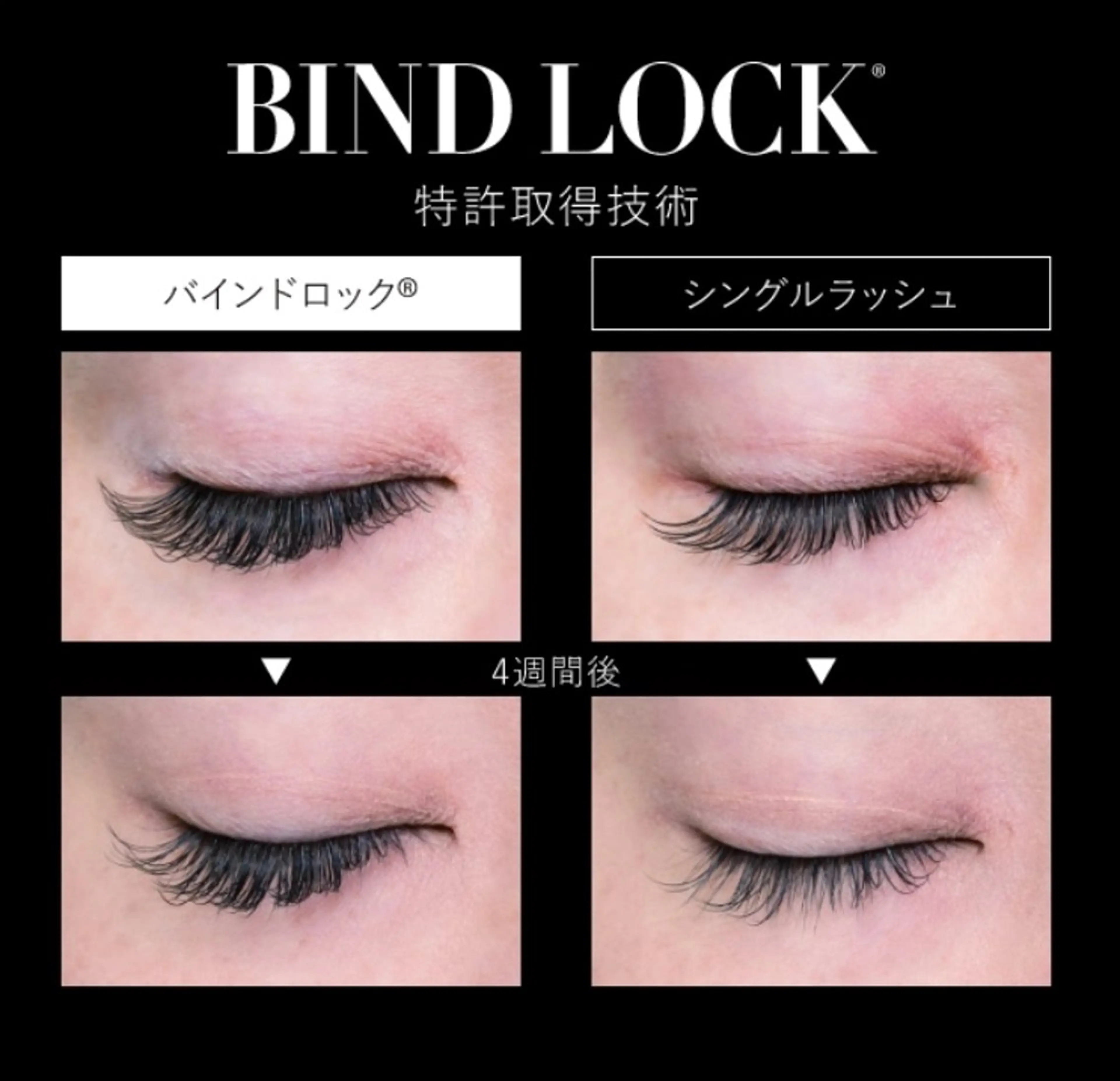 【バインドロック　60束】オフ有り★初回お試しにオススメの60束です。の写真