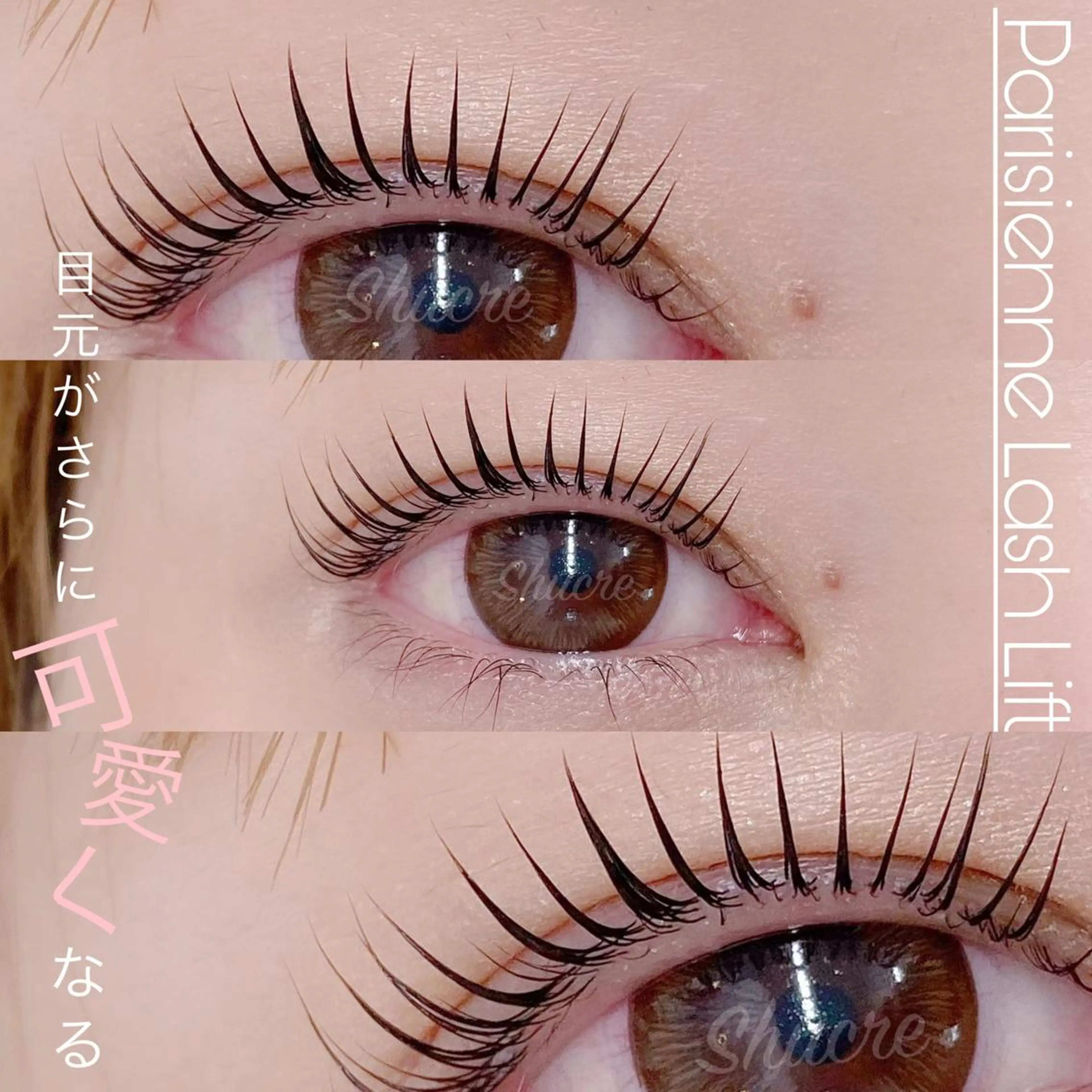 マツエク・マツパ Shucre栄店🤍 Rikaのマツエク・マツパデザイン