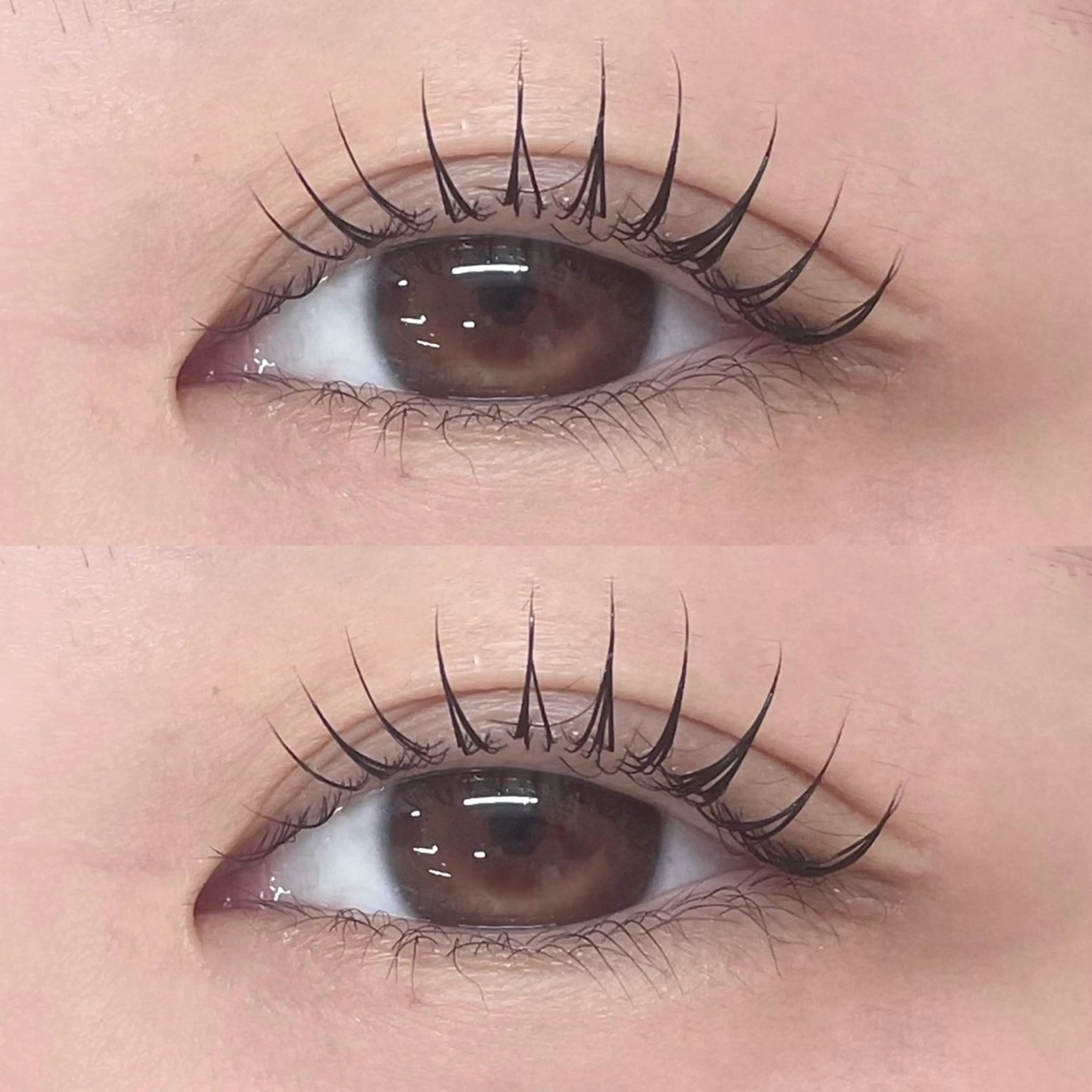 マツエク・マツパ shuon 武蔵境店所属・【武蔵境店】工藤 さくらのマツエク・マツパデザイン