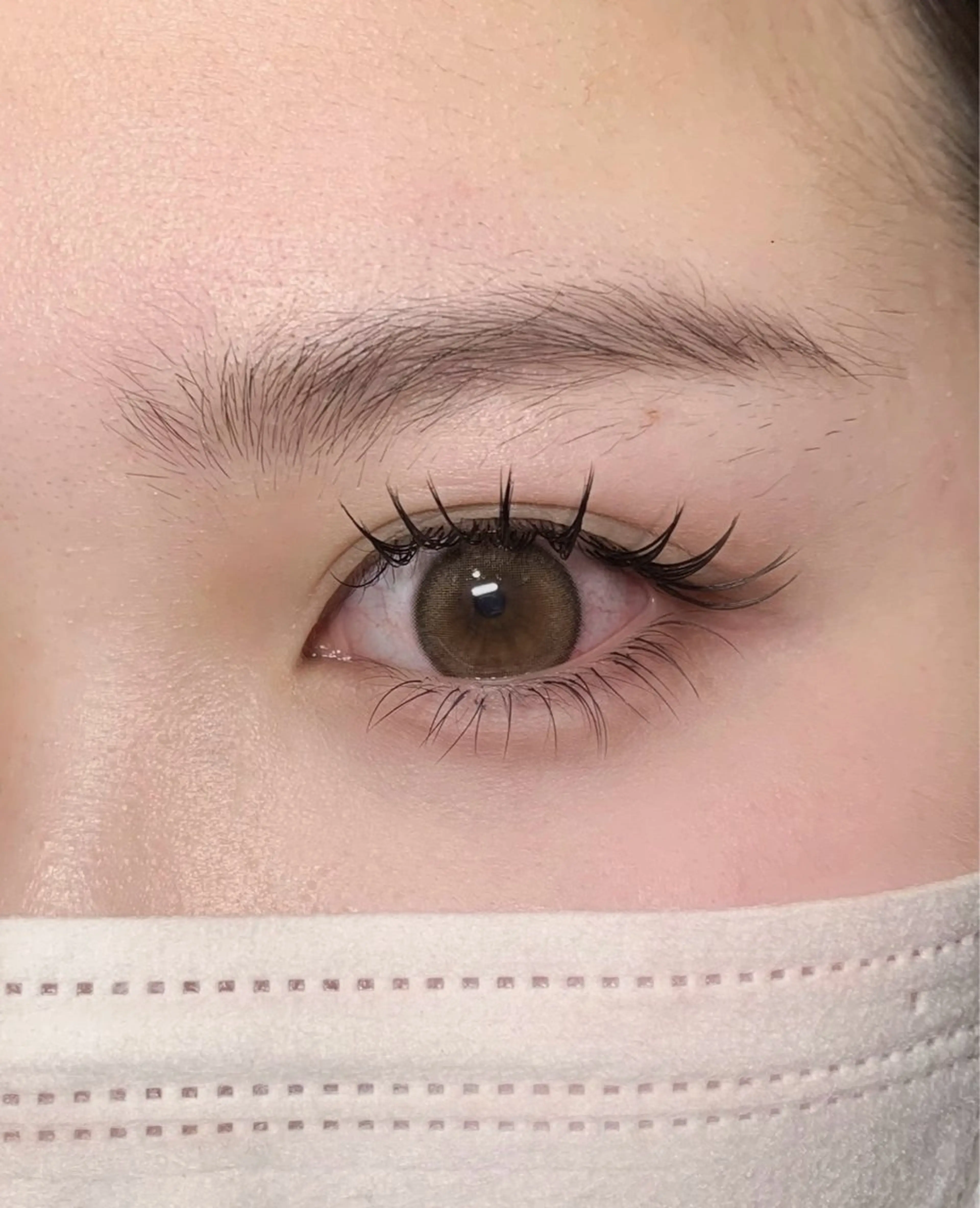 🦋上下マツエク 上120本 下20本 オフ込み ¥7000🦋の写真