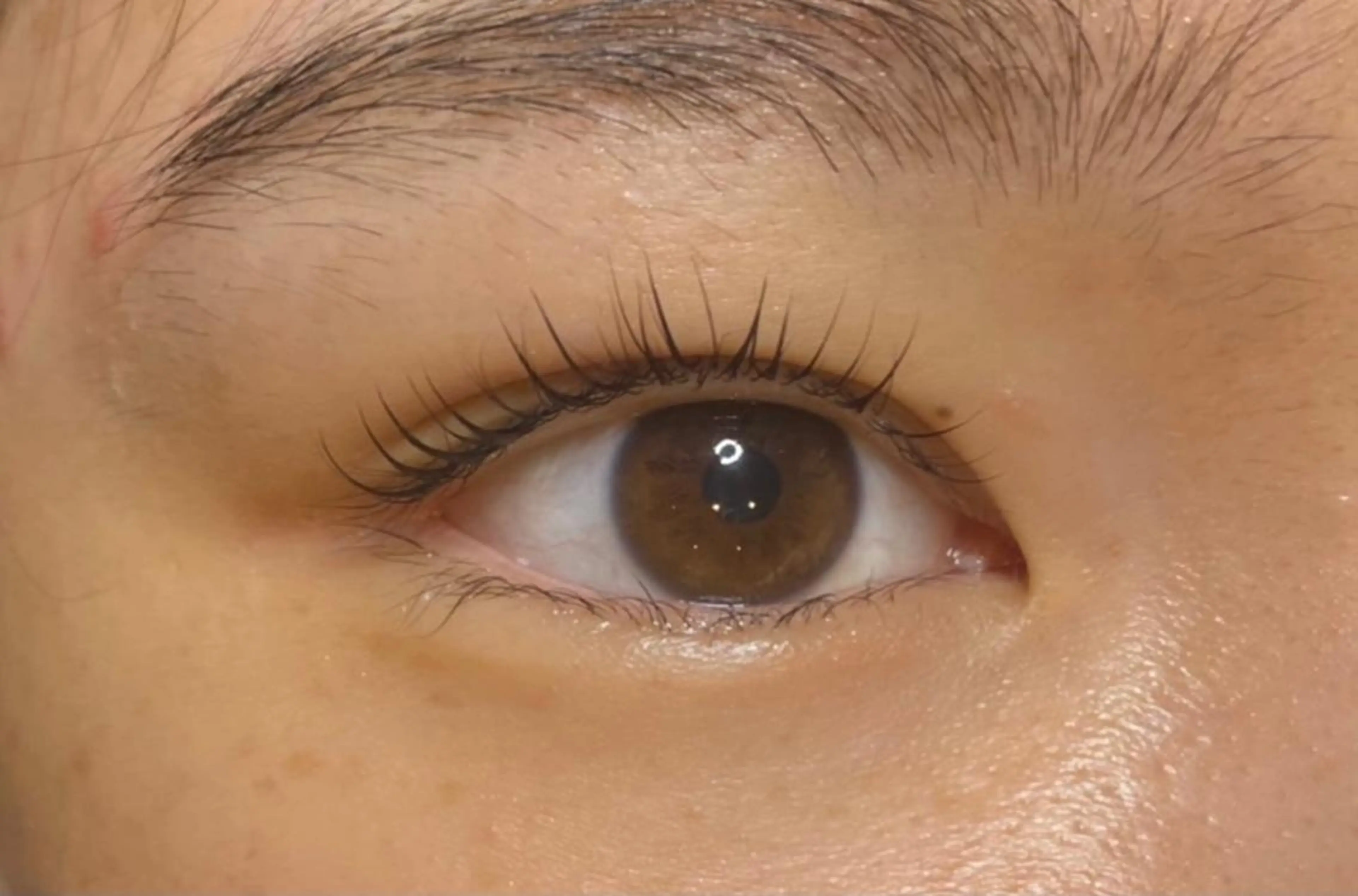 マツエク・マツパ olinaBeautySalon所属・Yuki .のマツエク・マツパデザイン