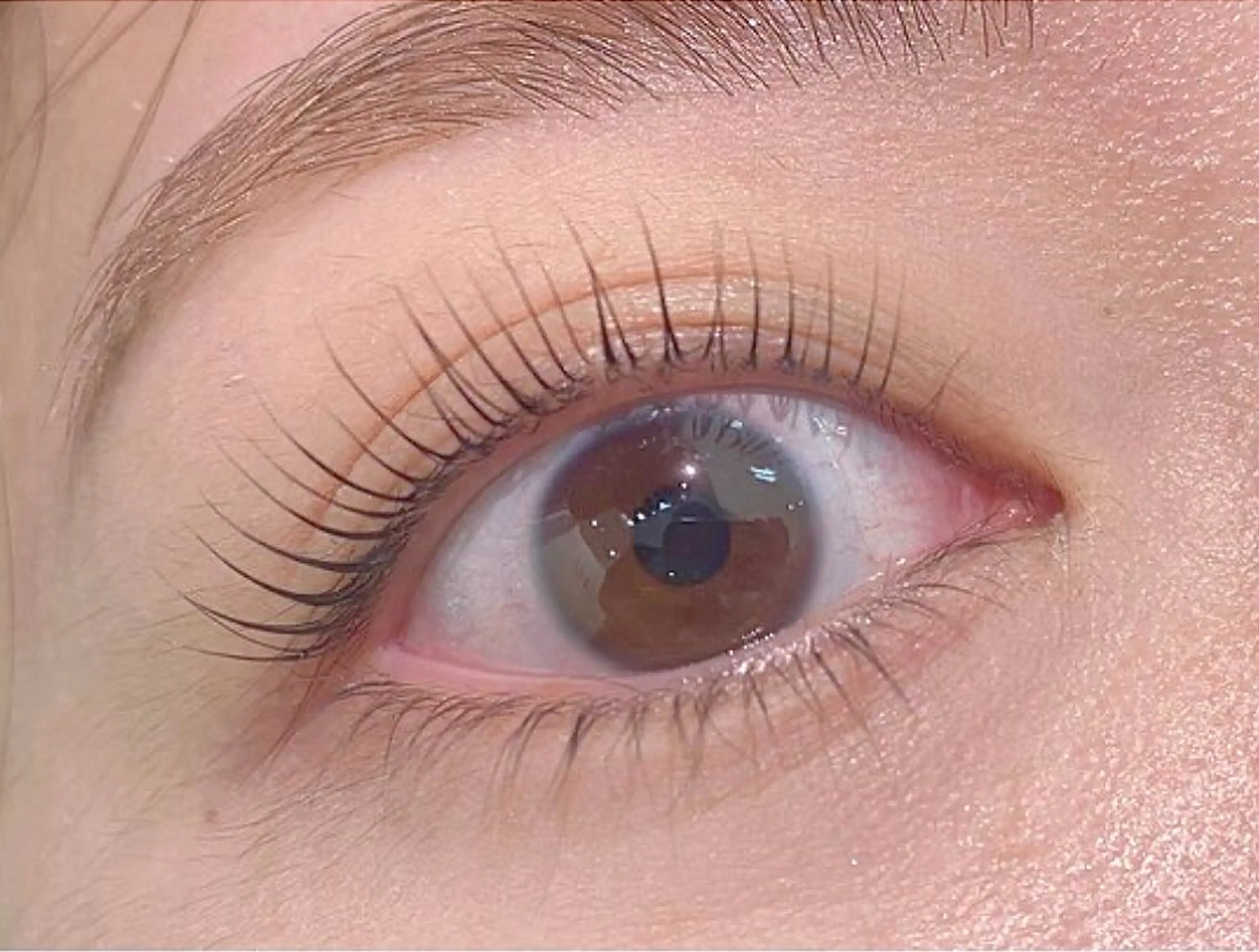 マツエク・マツパ 無料モデル 🎀misaki🎀のマツエク・マツパデザイン