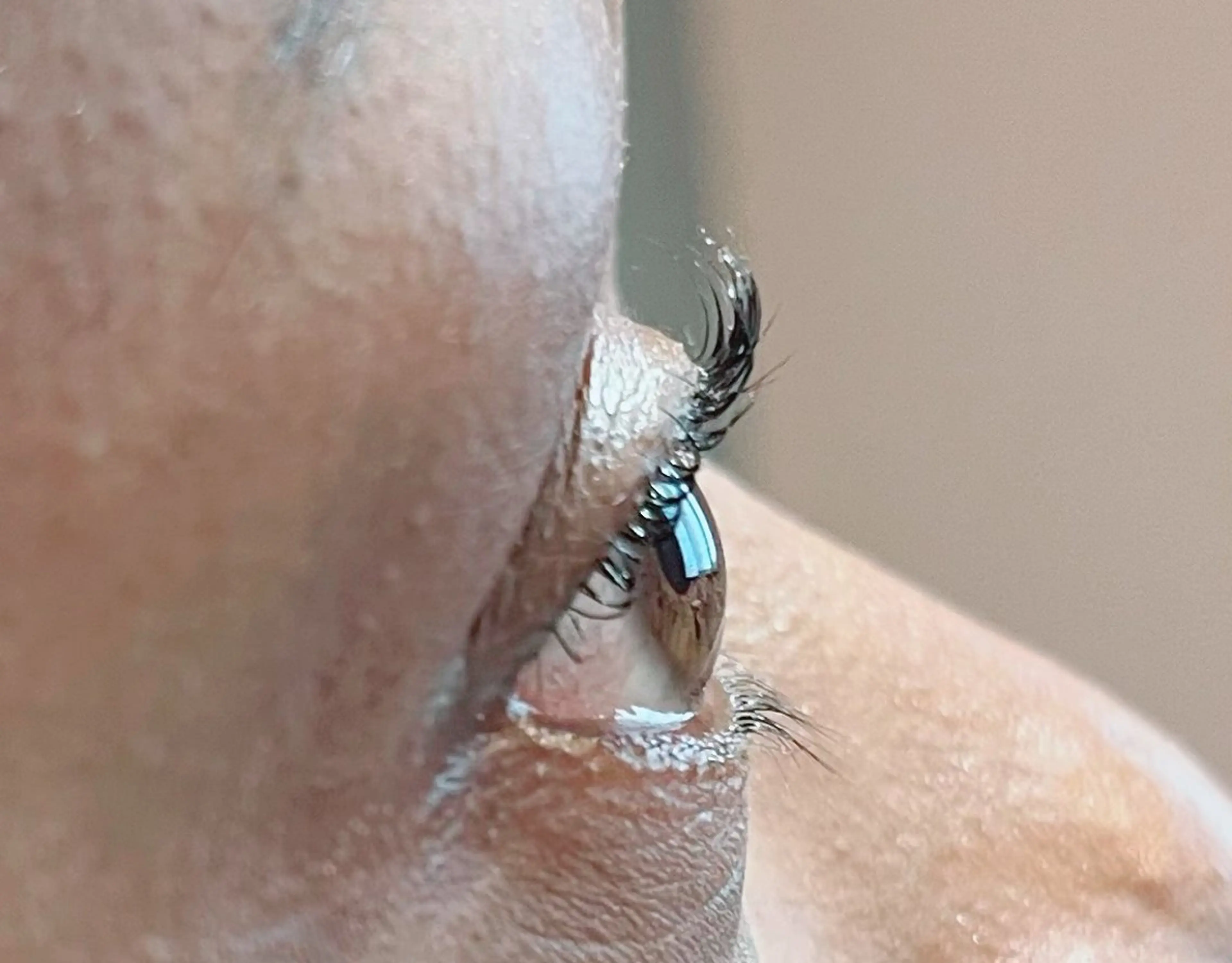 マツエク・マツパ 山田 綾芽のマツエク・マツパデザイン