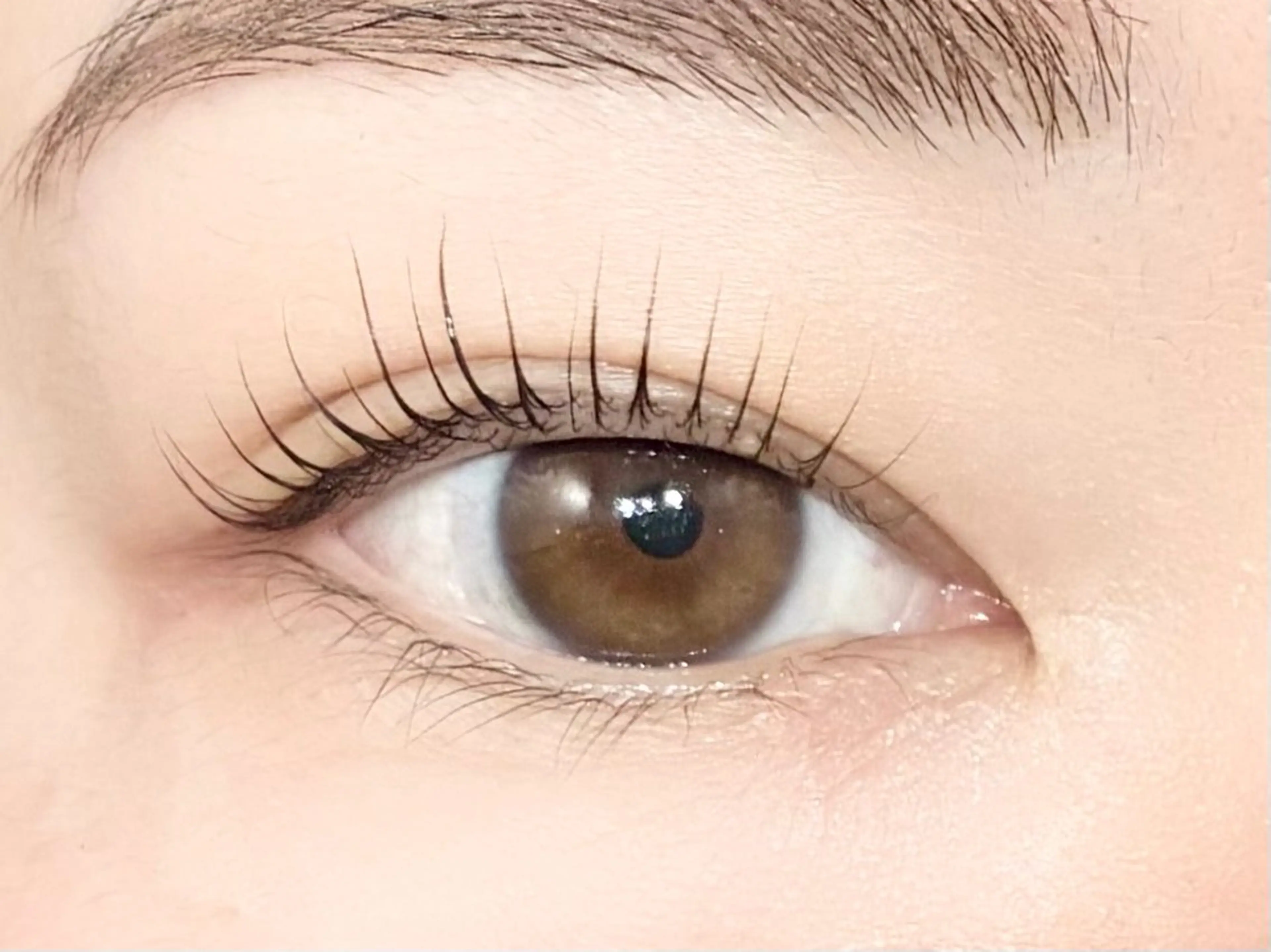 マツエク・マツパ マツパ 中村彩香 (エフドゥ)のマツエク・マツパデザイン