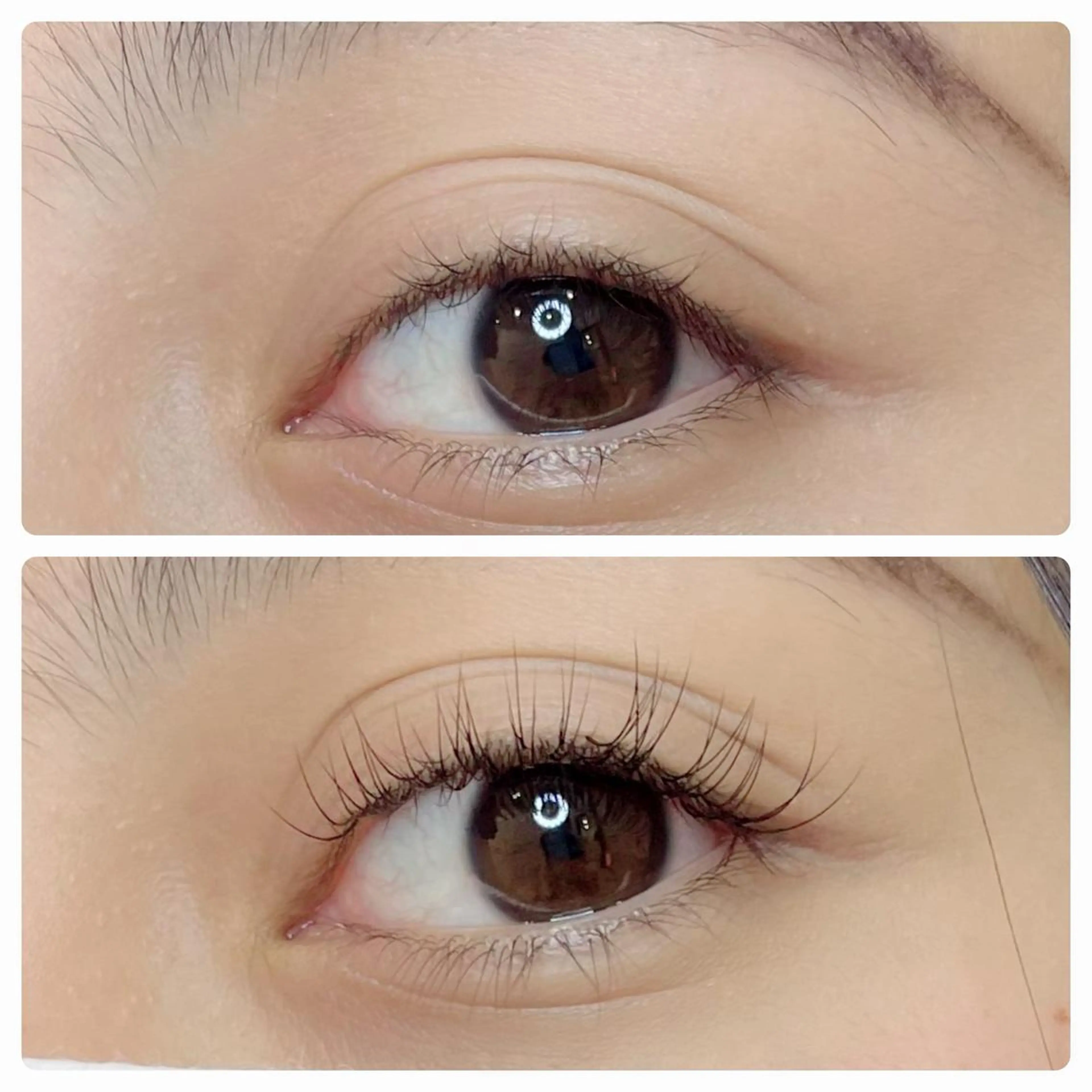 マツエク・マツパ ナチュラル マツエク 高須 美沙子のマツエク・マツパデザイン