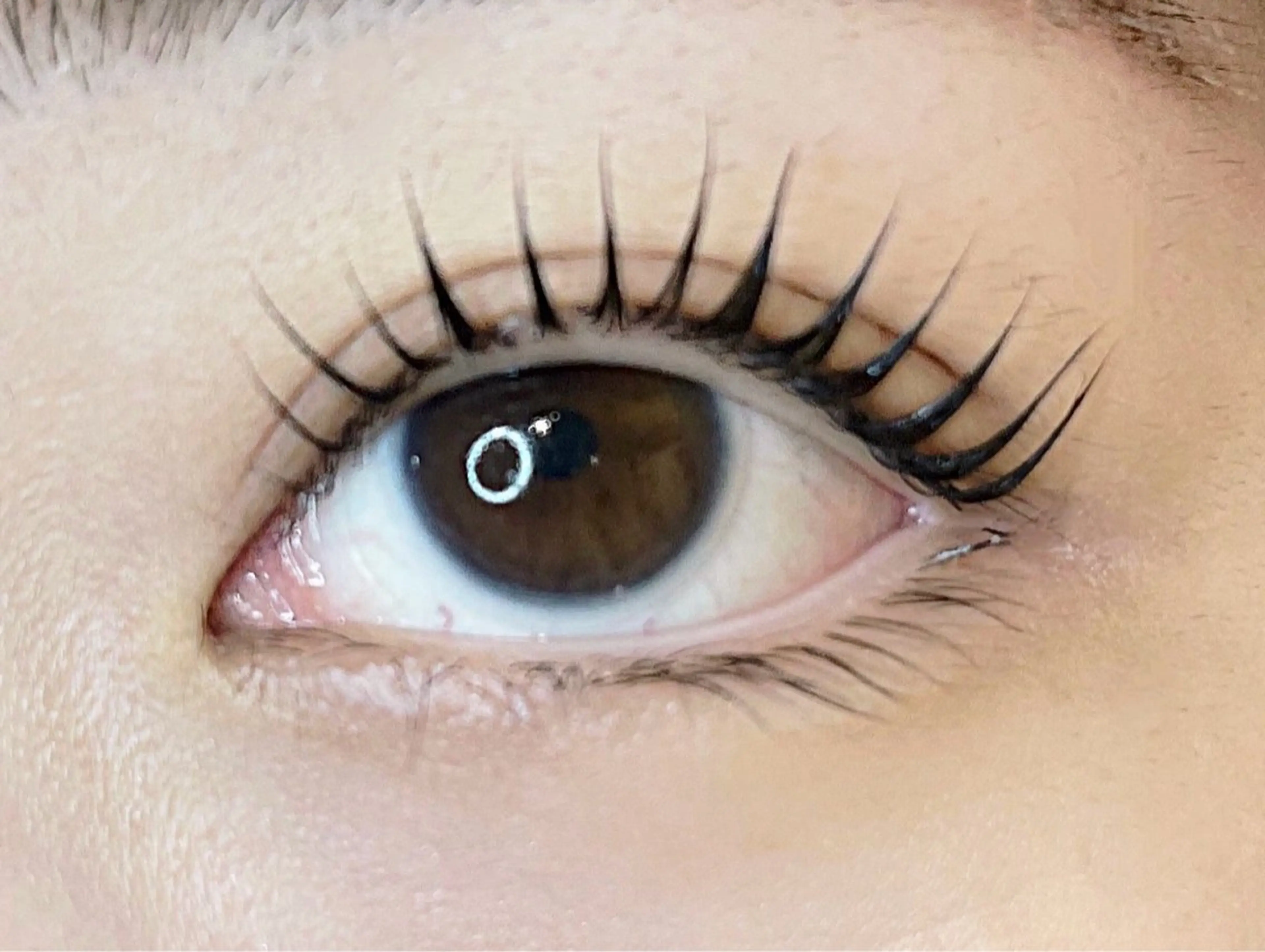 マツエク・マツパ ケラチンラッシュリフト 一重×まつ毛パーマ Defi《デフィ》 仙台のマツエク・マツパデザイン