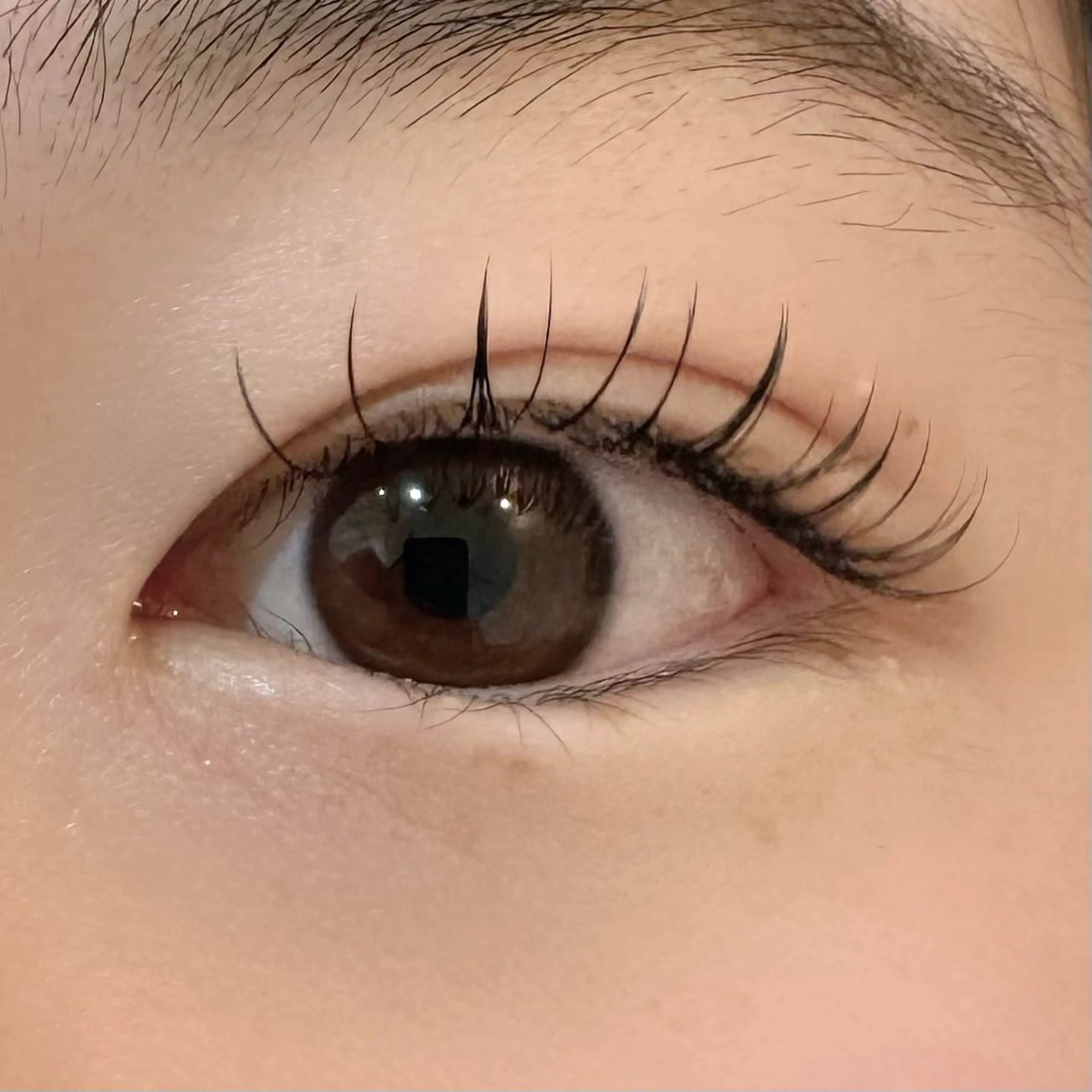 マツエク・マツパ CCカール Cカール tae .のマツエク・マツパデザイン