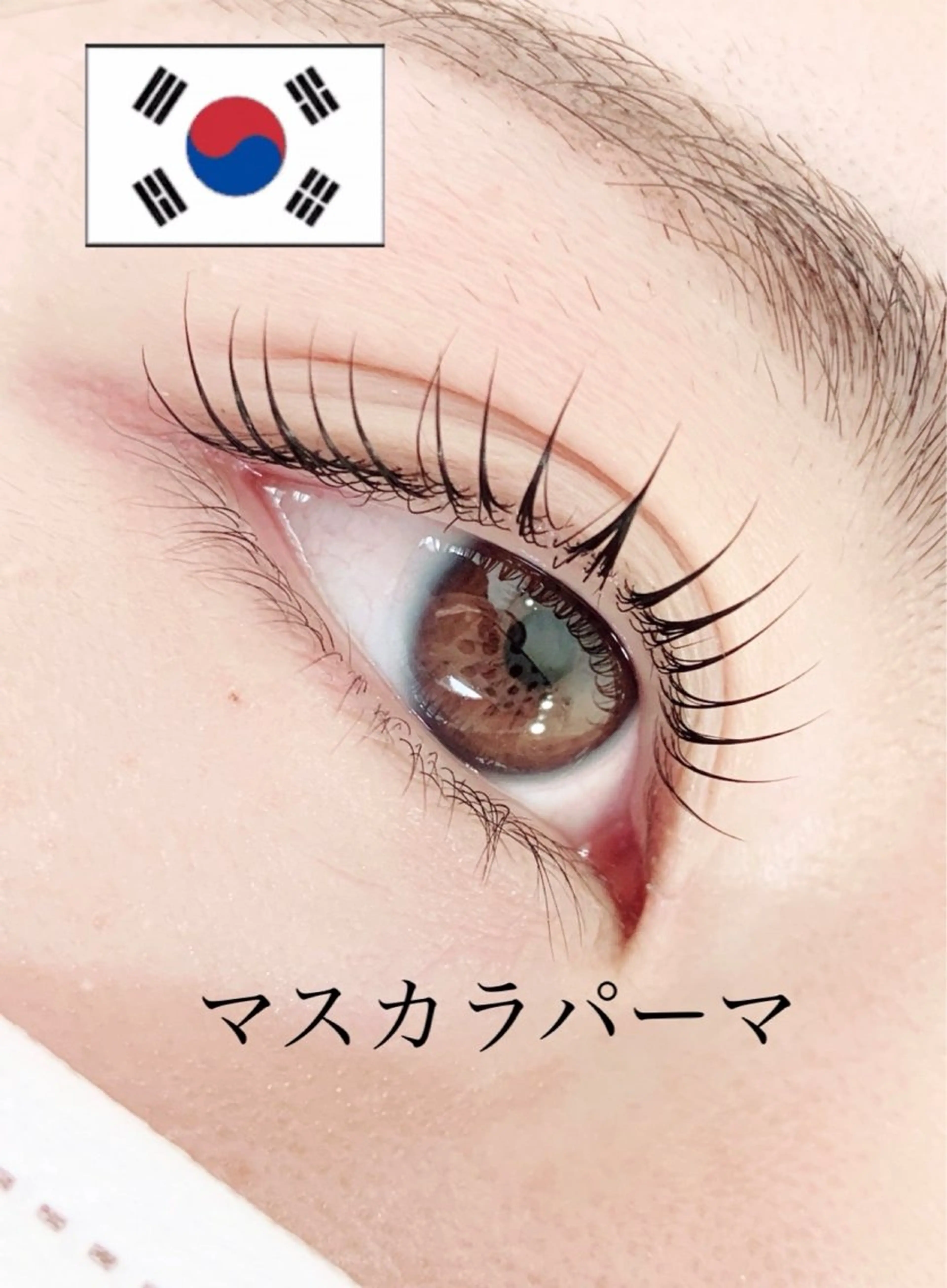 新規:マスカラパーマ／オフなしの写真