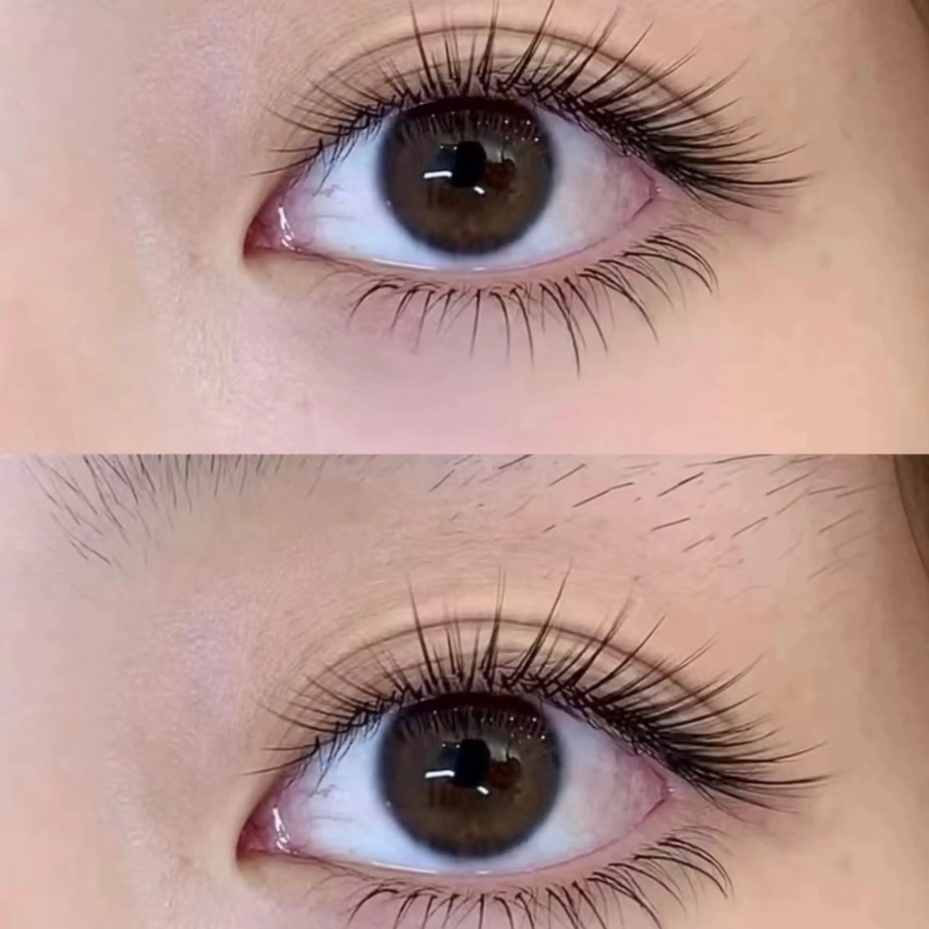 バイドロック80束¥6980円の写真