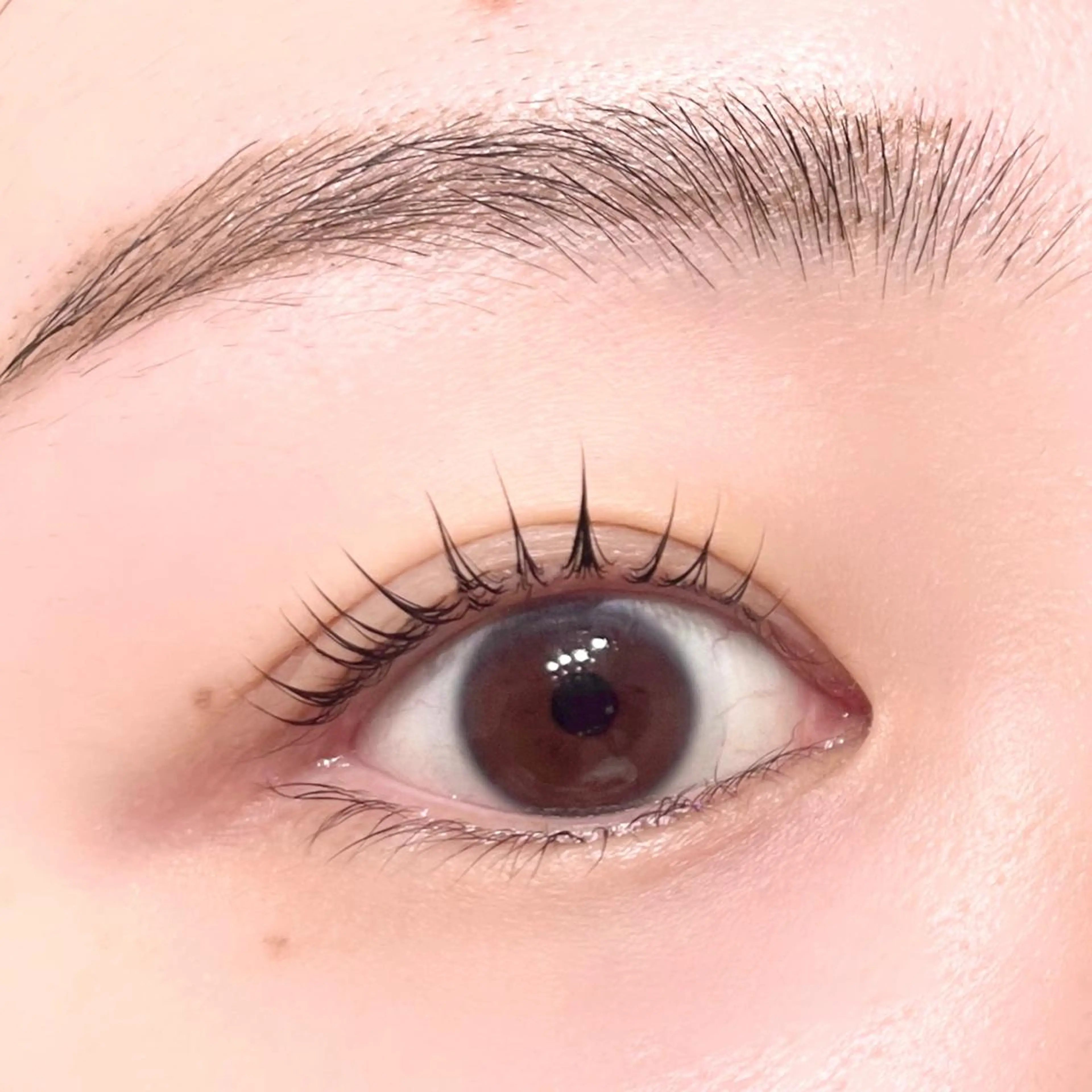 マツエク・マツパ Paulele. 副店長Mizukiのマツエク・マツパデザイン