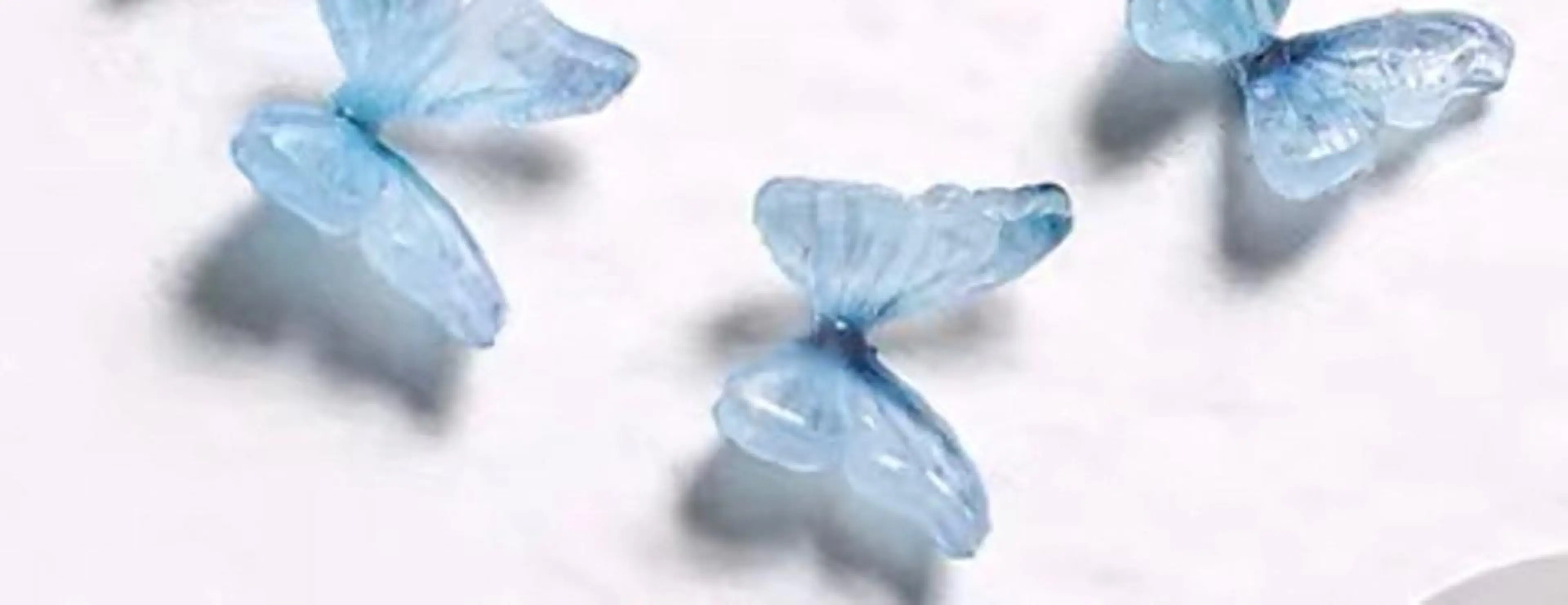 ネイル Honey スカルプ専門店のネイルデザイン