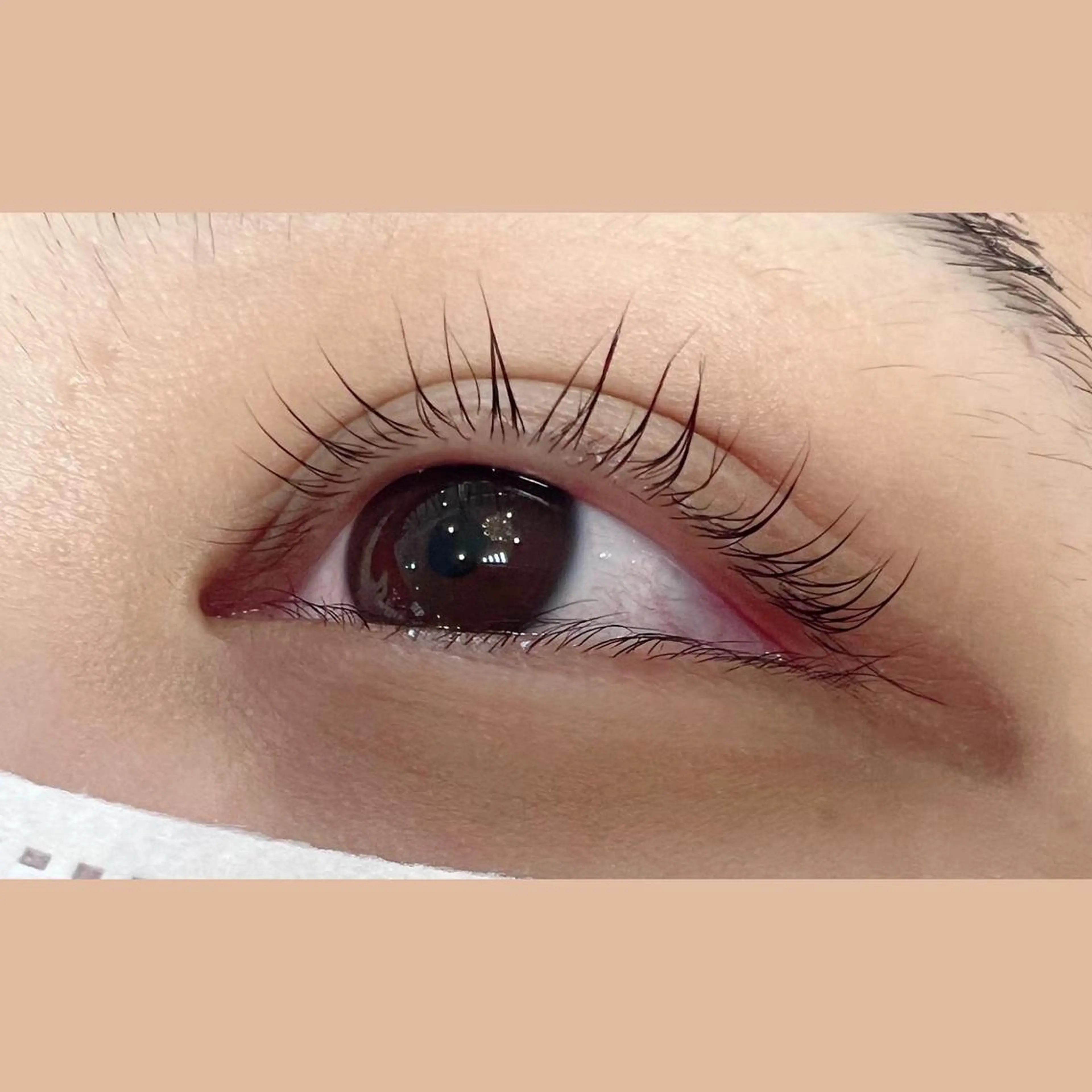 マツエク・マツパ 一重×まつ毛パーマ 藤川 瑛梨奈のマツエク・マツパデザイン