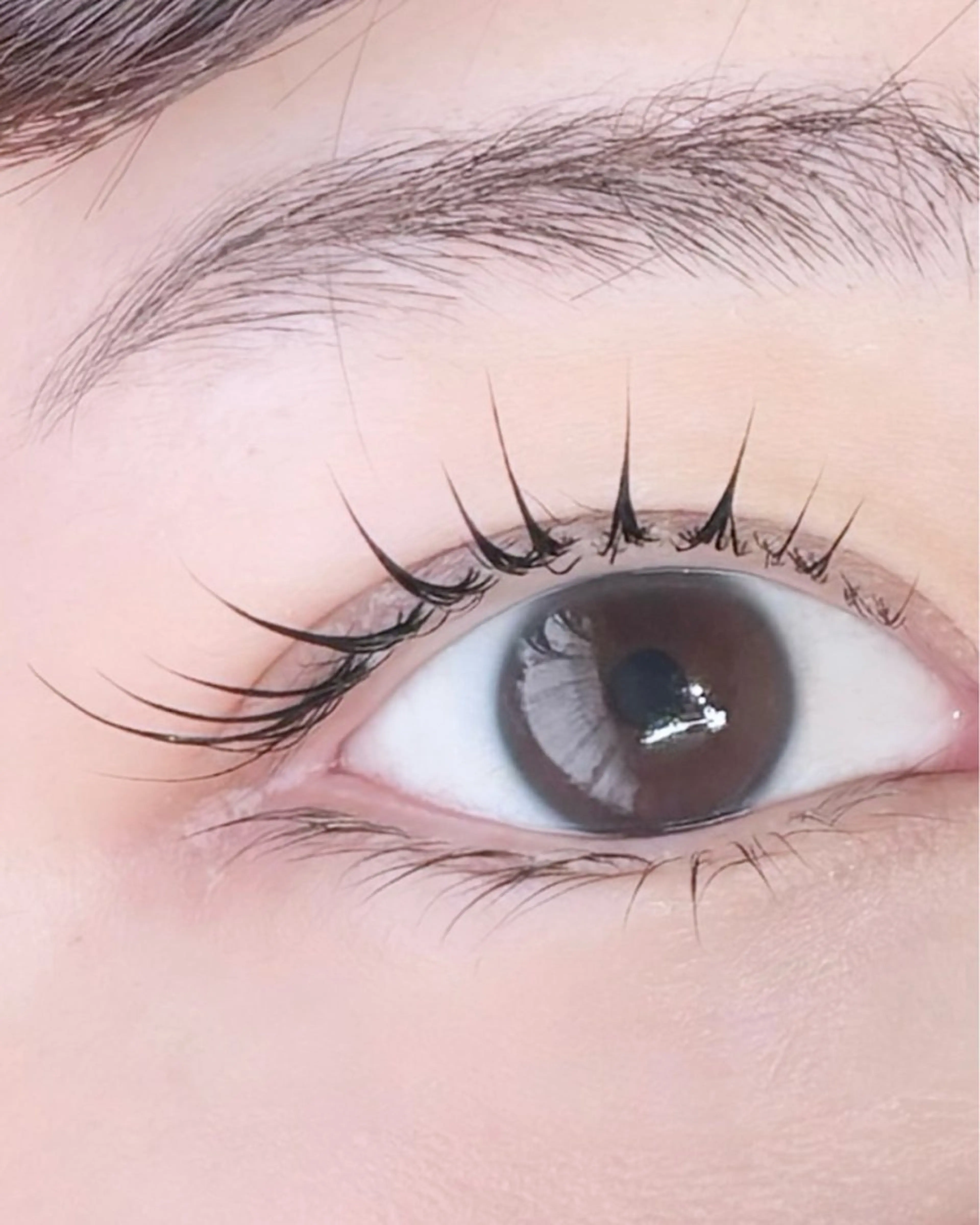 マツエク・マツパ マツパ eyelash lienのマツエク・マツパデザイン