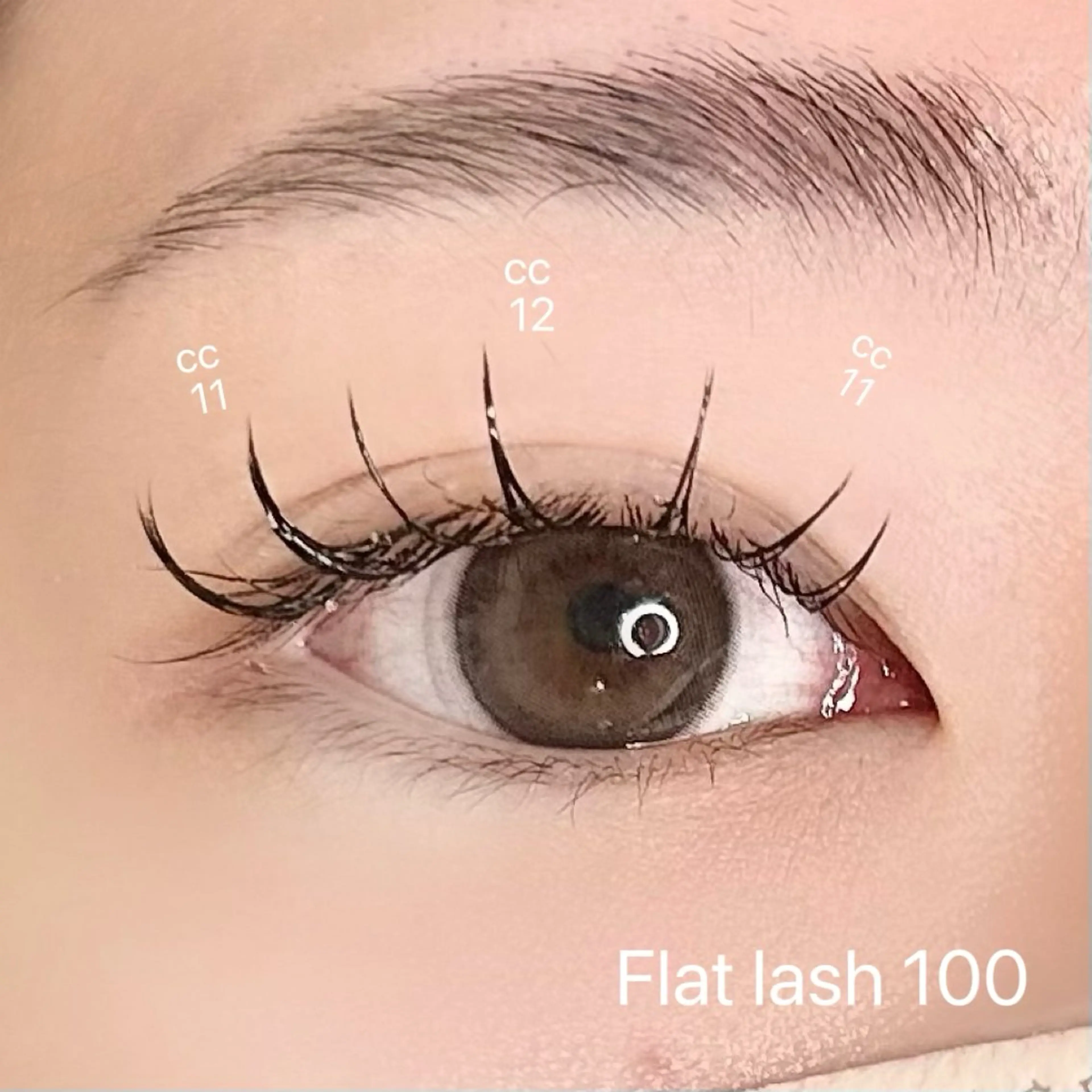 マツエク・マツパ フラットラッシュ マツエク elua eyelashの眉毛・アイブロウイメージ
