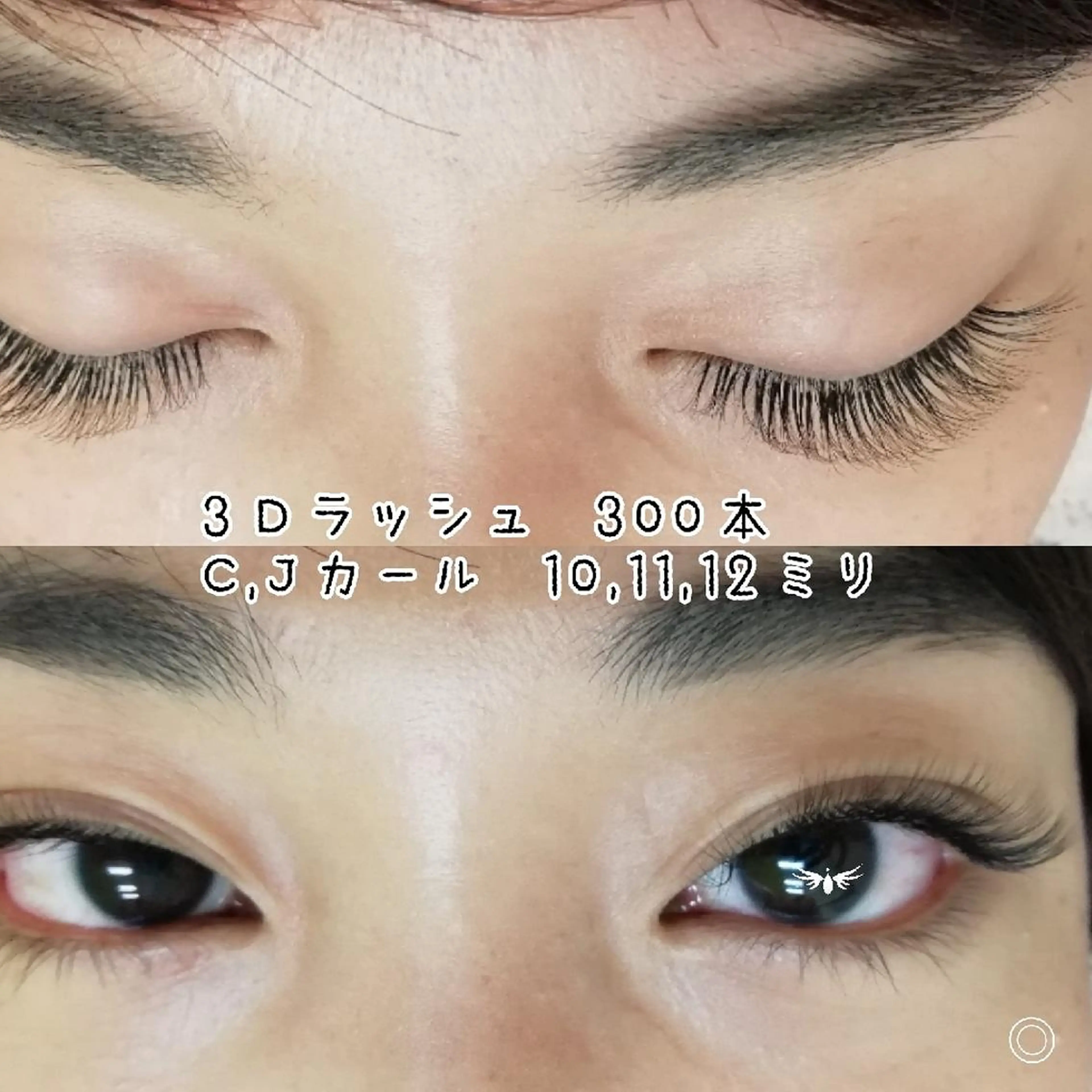 マツエク・マツパ ディアナ 水戸元吉田店　青柳のマツエク・マツパデザイン